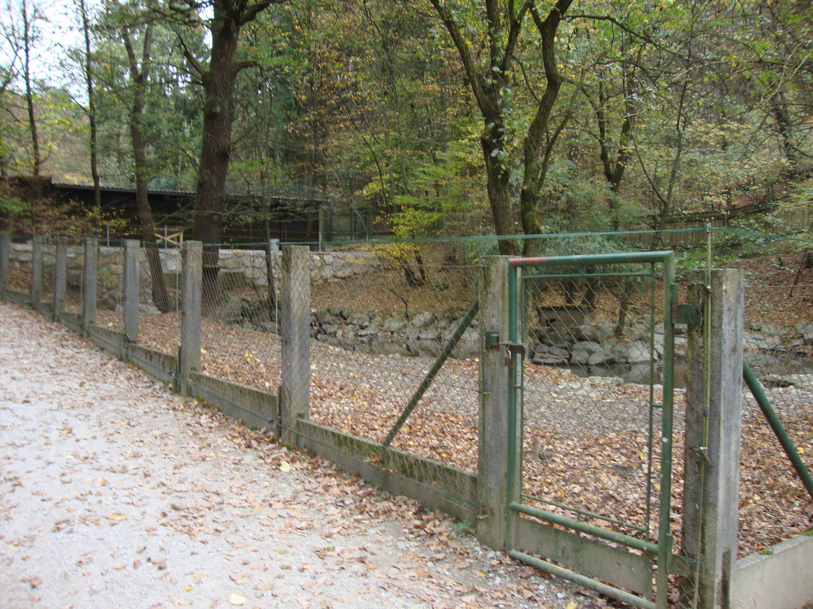 Ljubljana Zoo October 2013