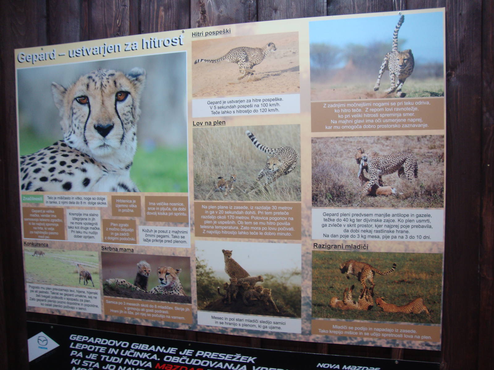 Ljubljana Zoo October 2013