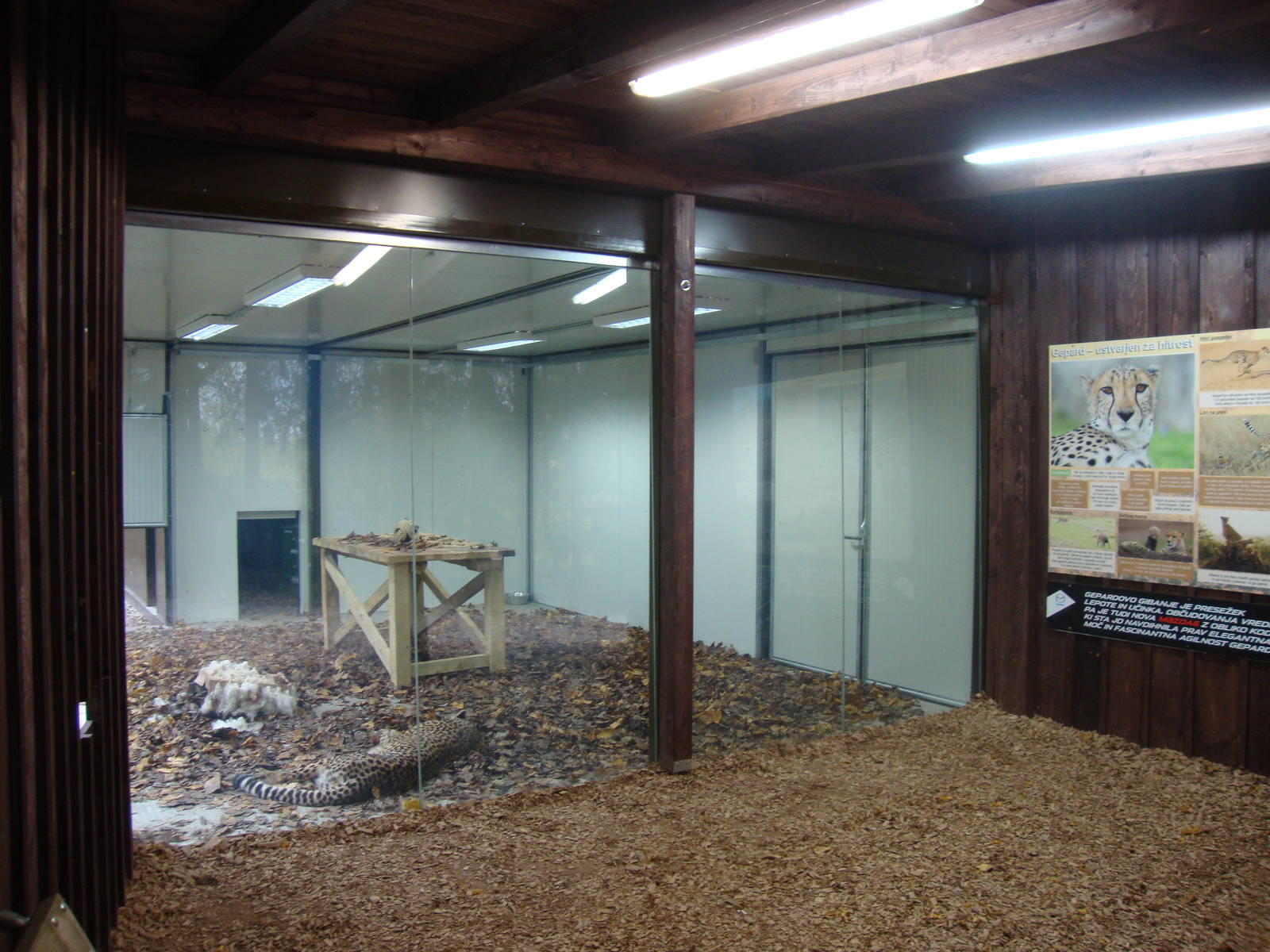 Ljubljana Zoo October 2013