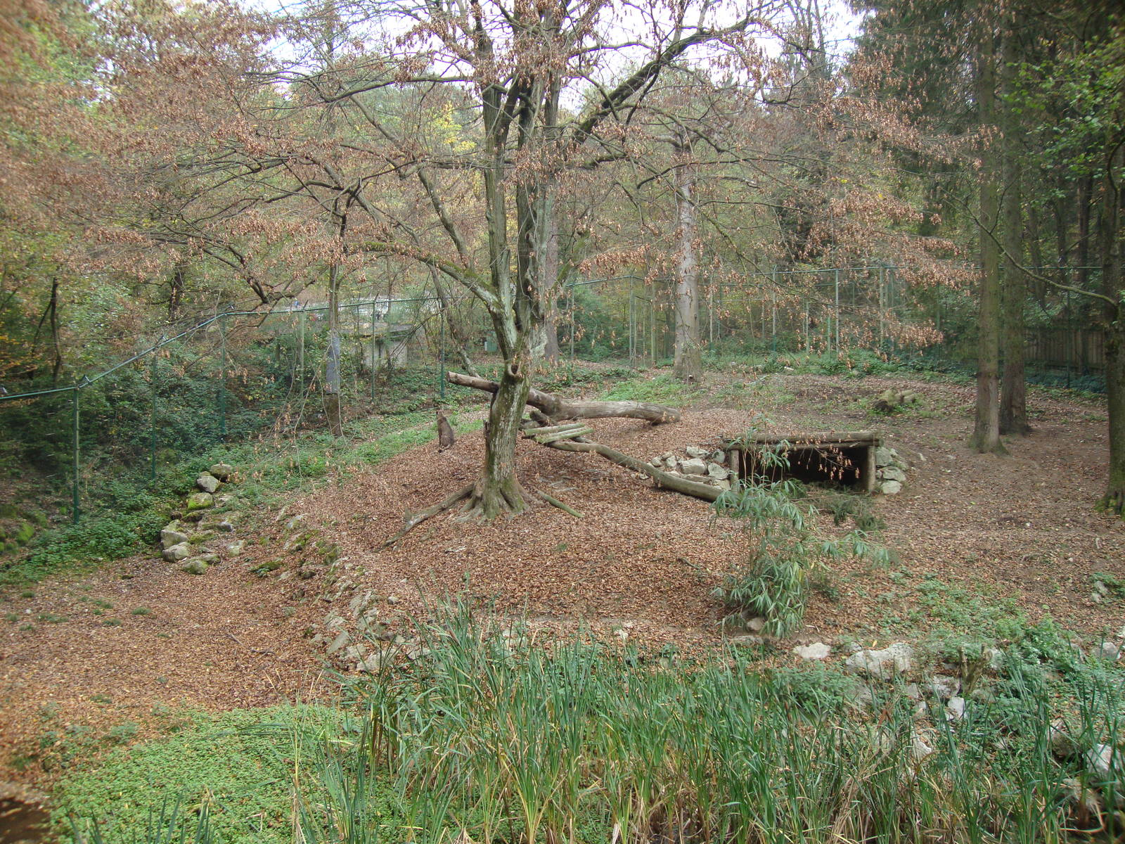 Ljubljana Zoo October 2013