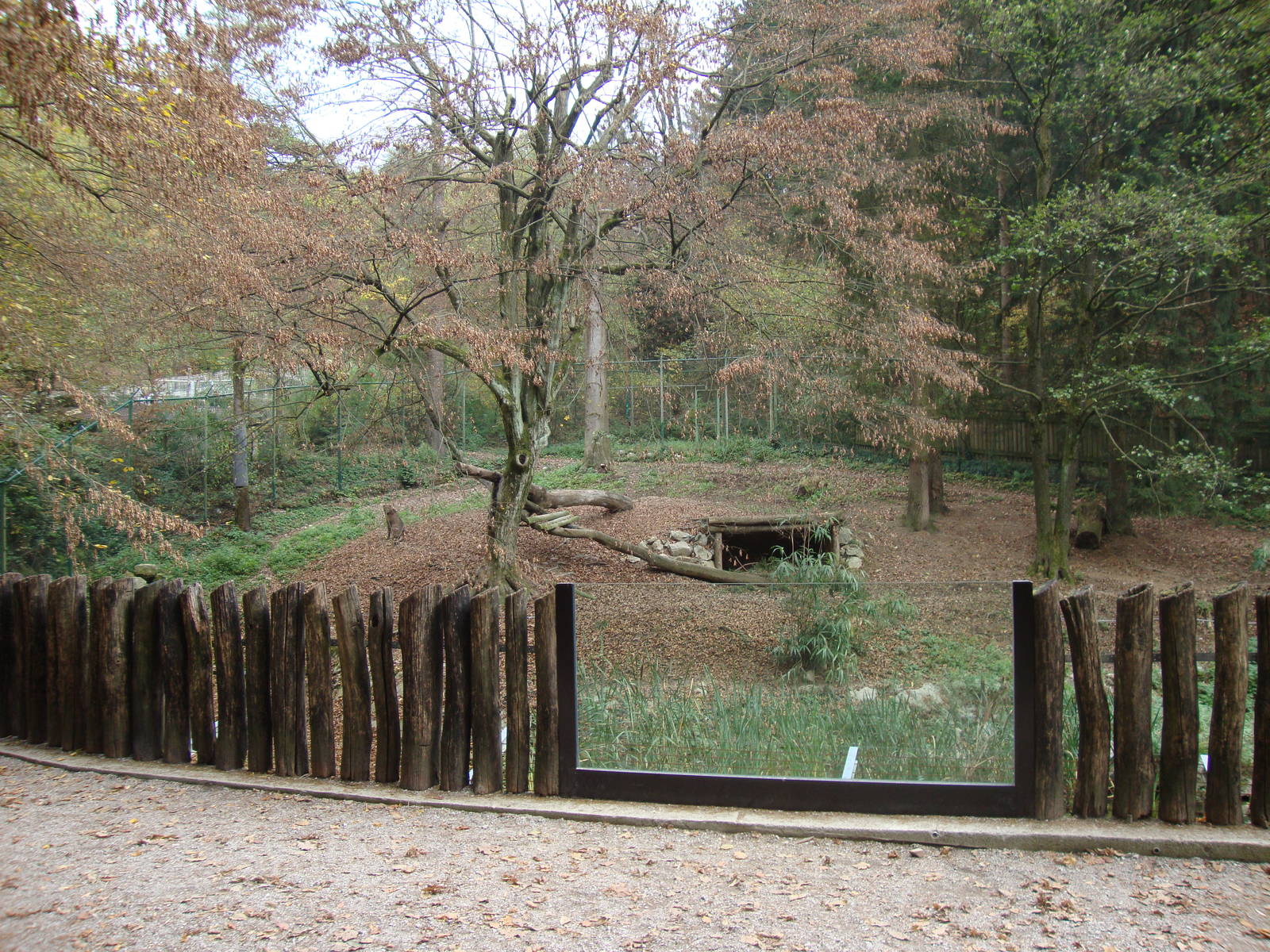 Ljubljana Zoo October 2013