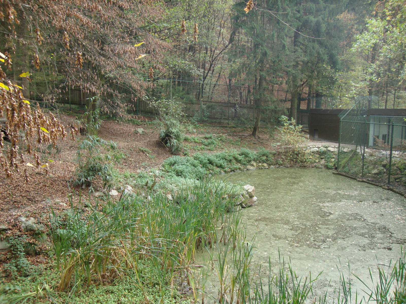 Ljubljana Zoo October 2013