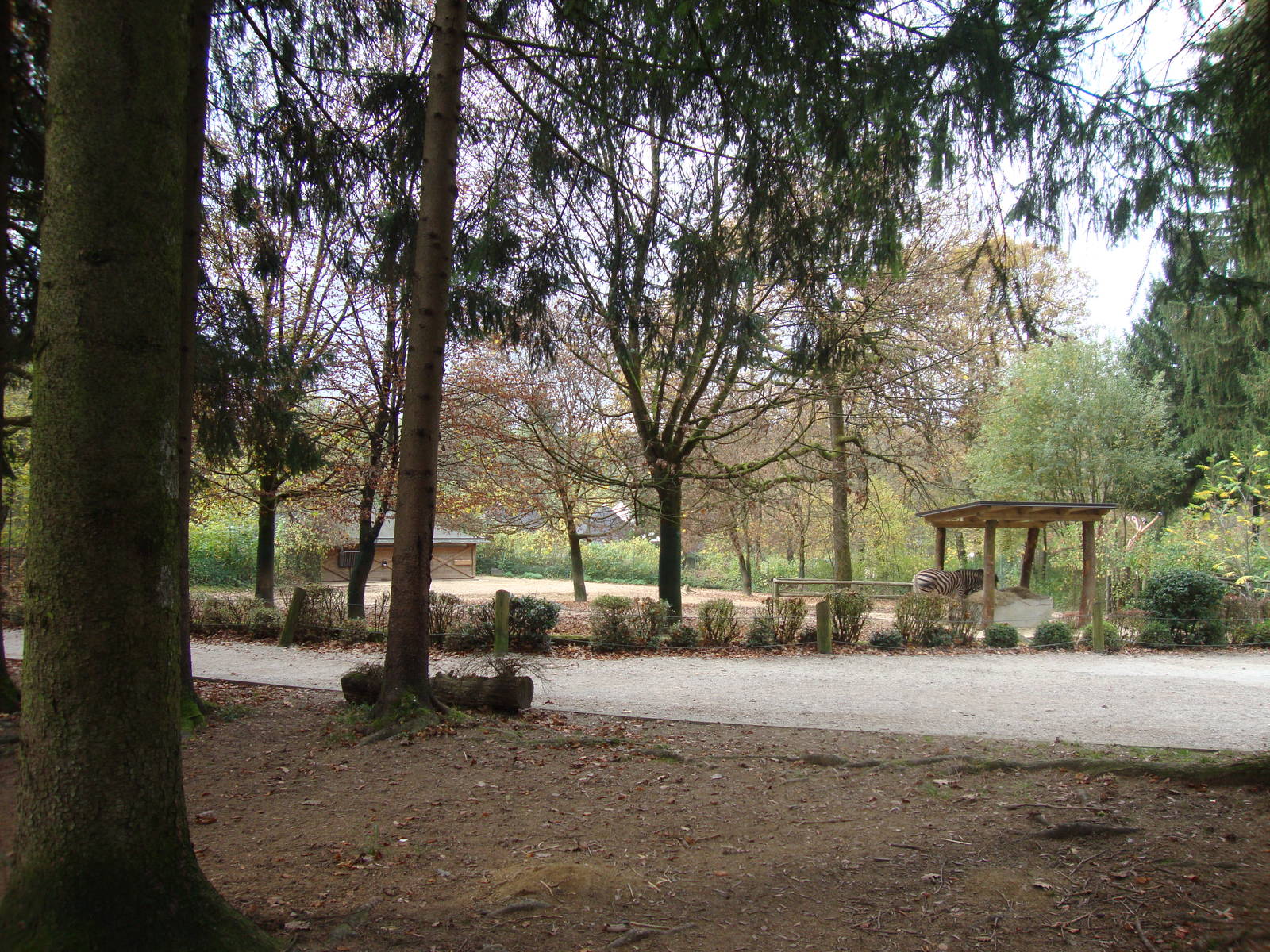 Ljubljana Zoo October 2013