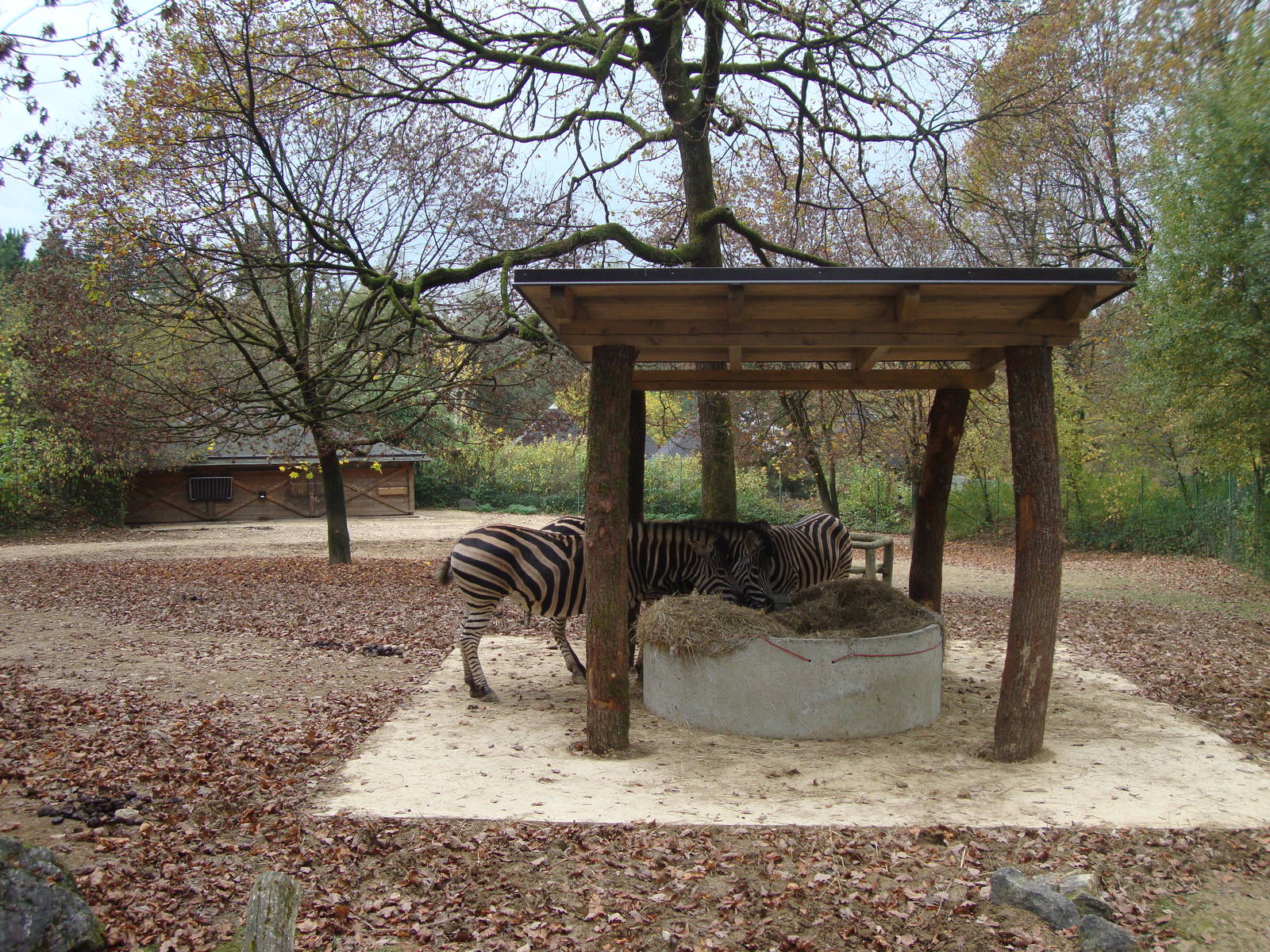Ljubljana Zoo October 2013