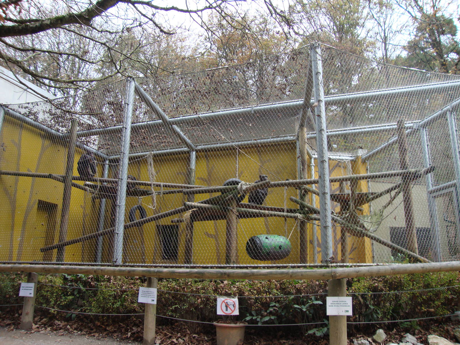 Ljubljana Zoo October 2013