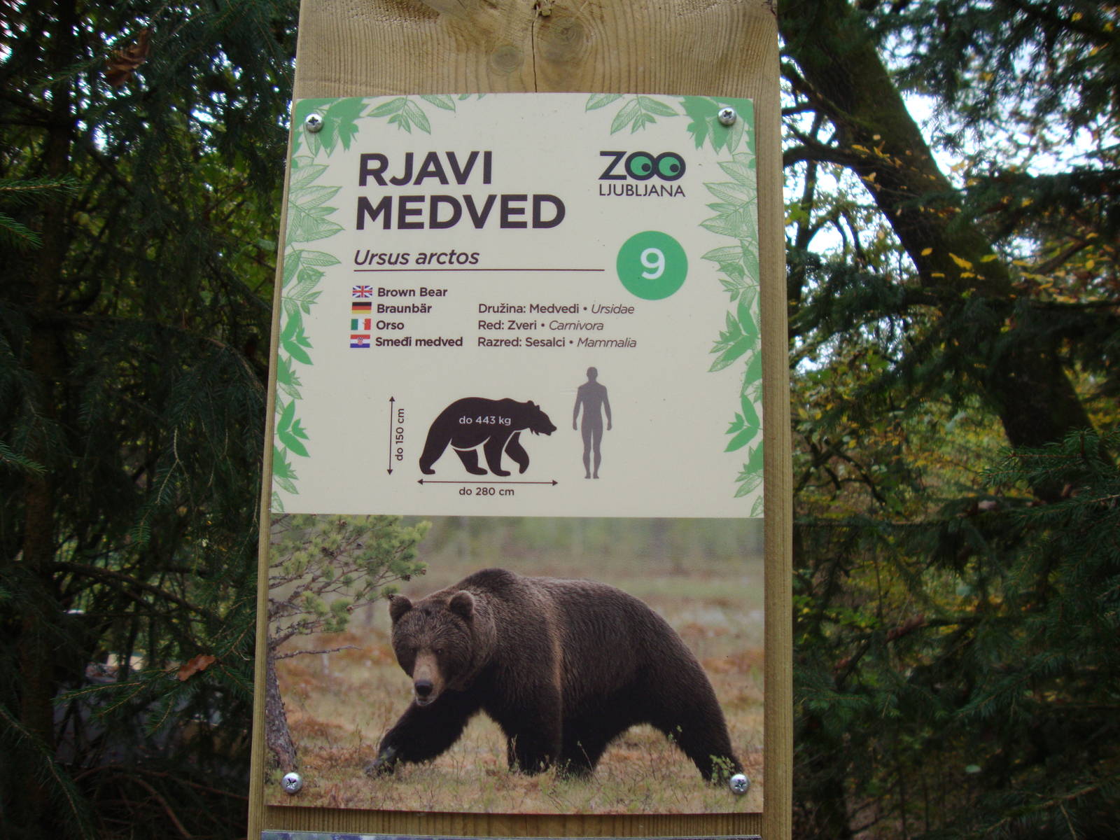 Ljubljana Zoo October 2013