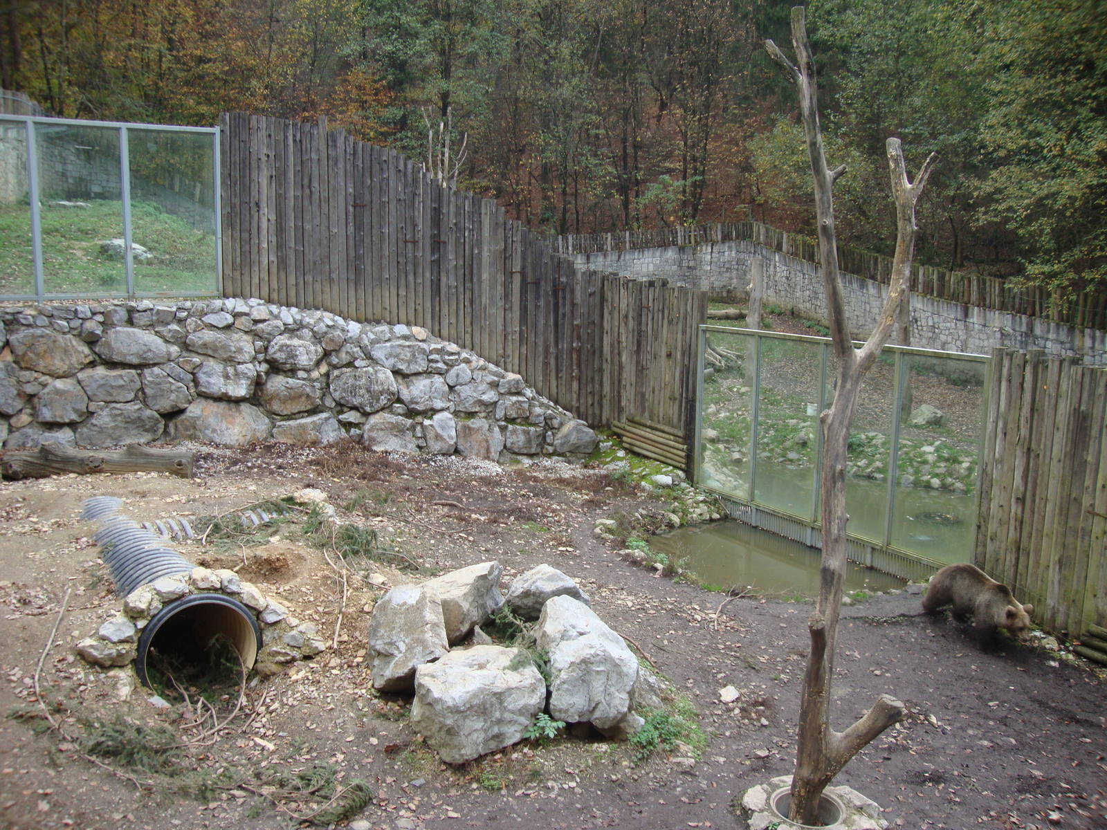 Ljubljana Zoo October 2013