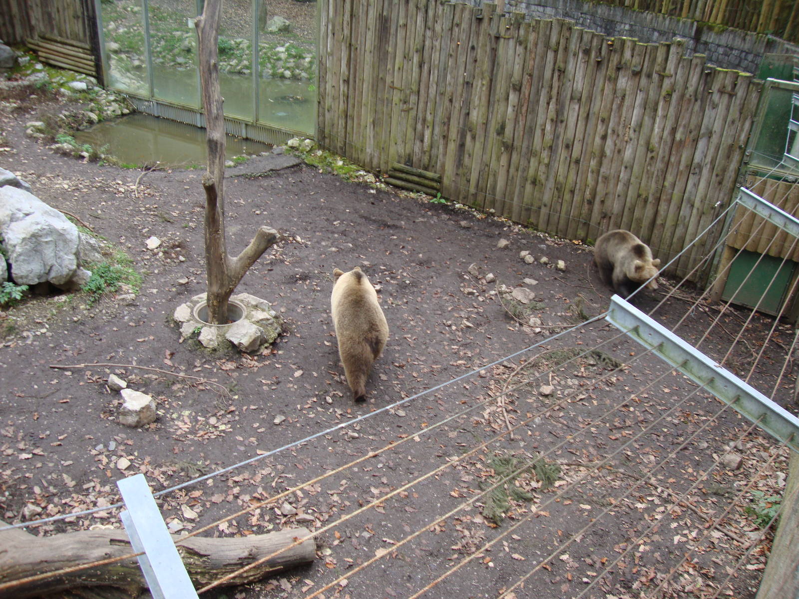 Ljubljana Zoo October 2013