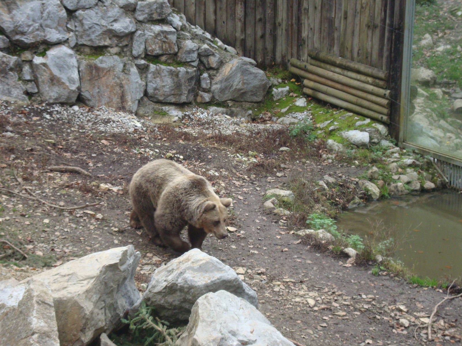 Ljubljana Zoo October 2013