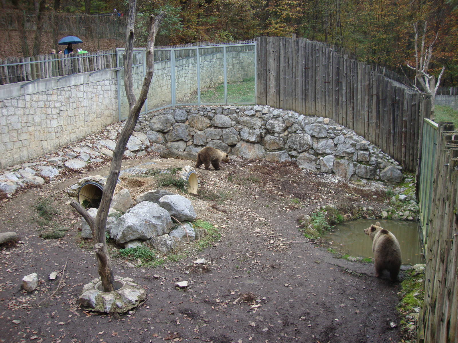 Ljubljana Zoo October 2013