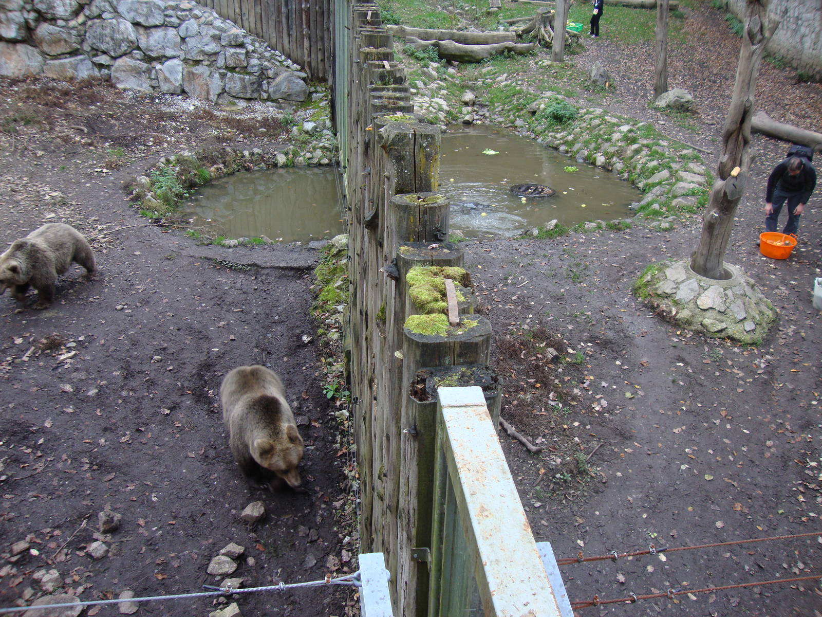 Ljubljana Zoo October 2013