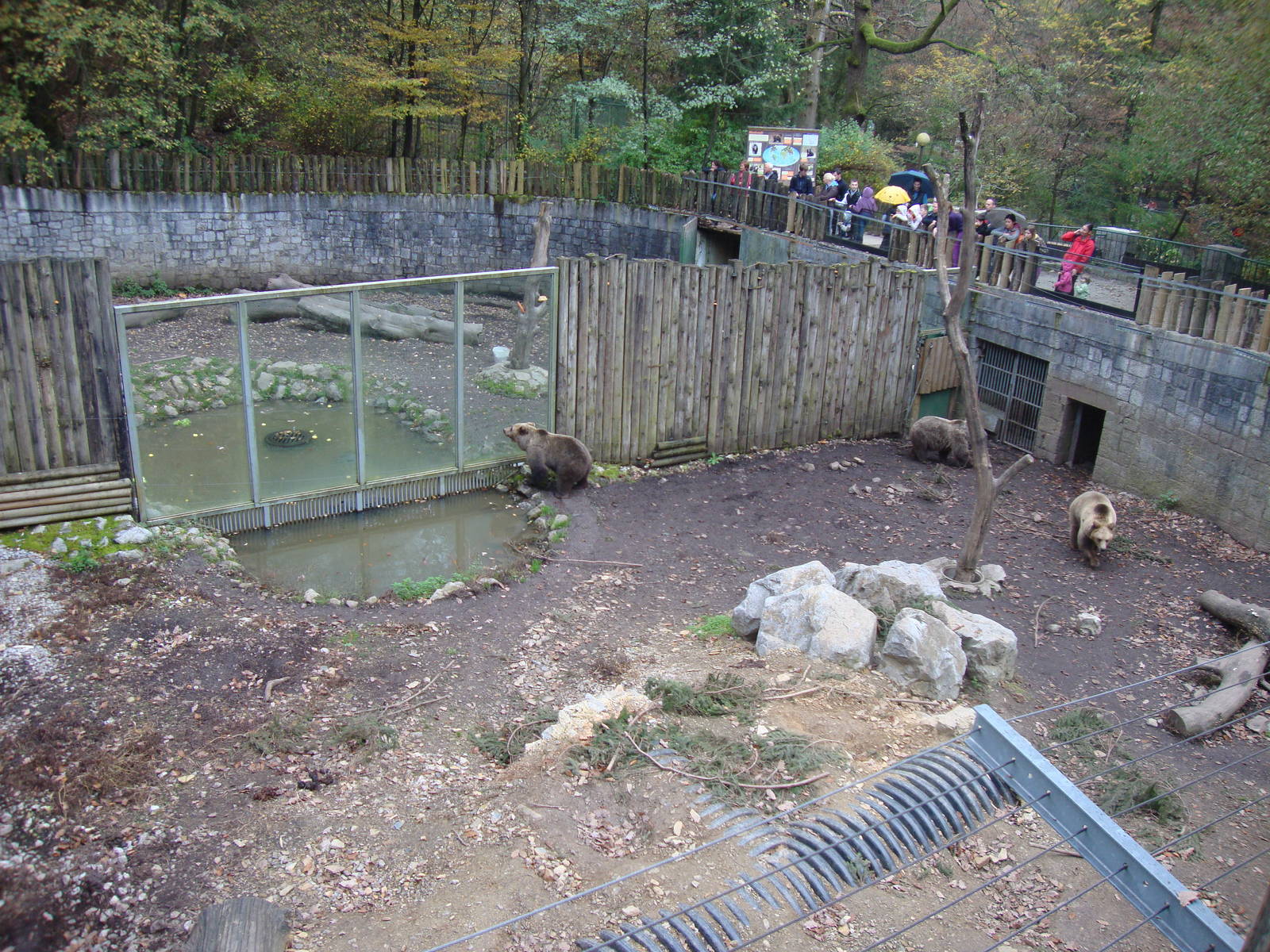 Ljubljana Zoo October 2013
