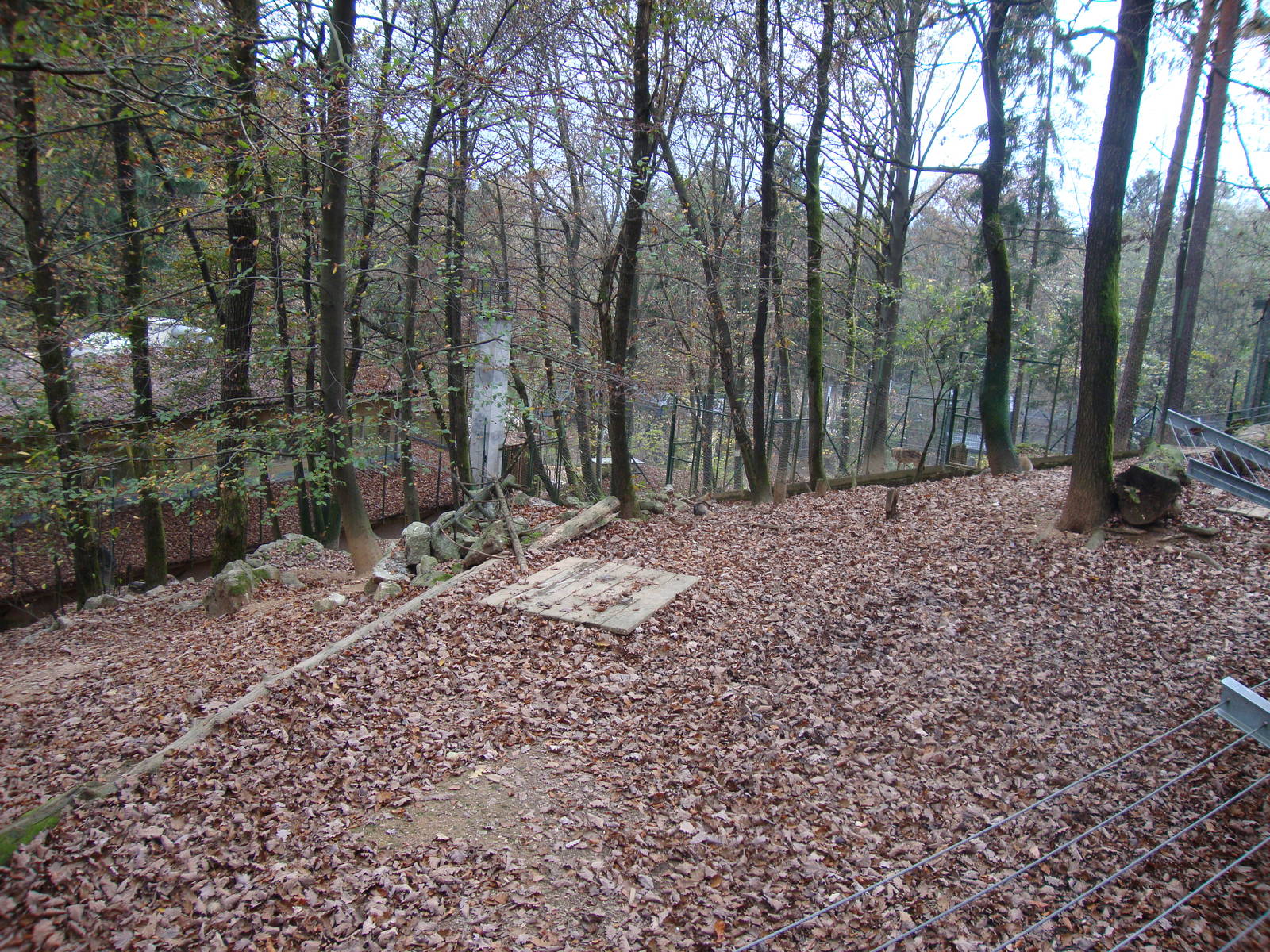 Ljubljana Zoo October 2013