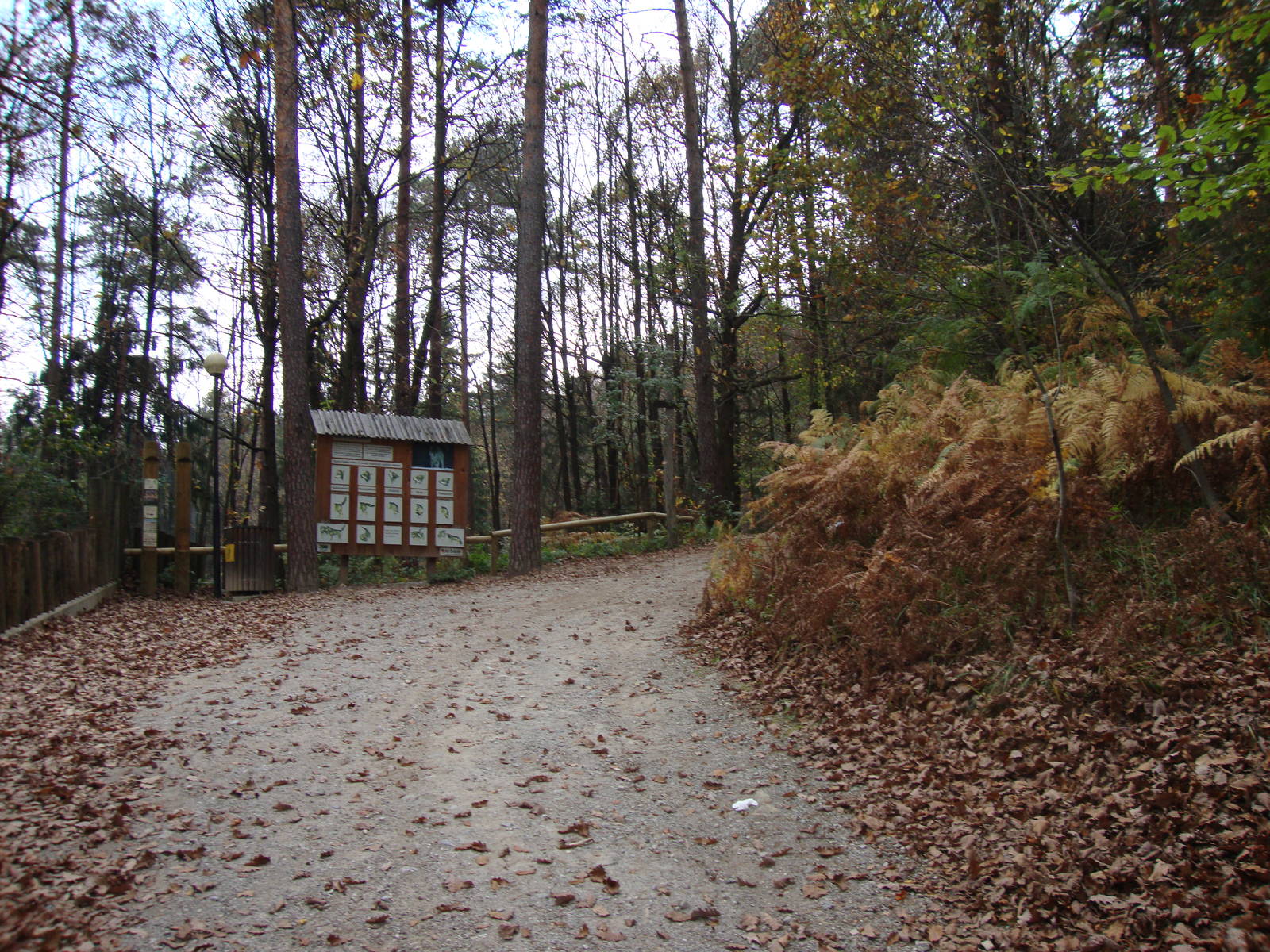 Ljubljana Zoo October 2013