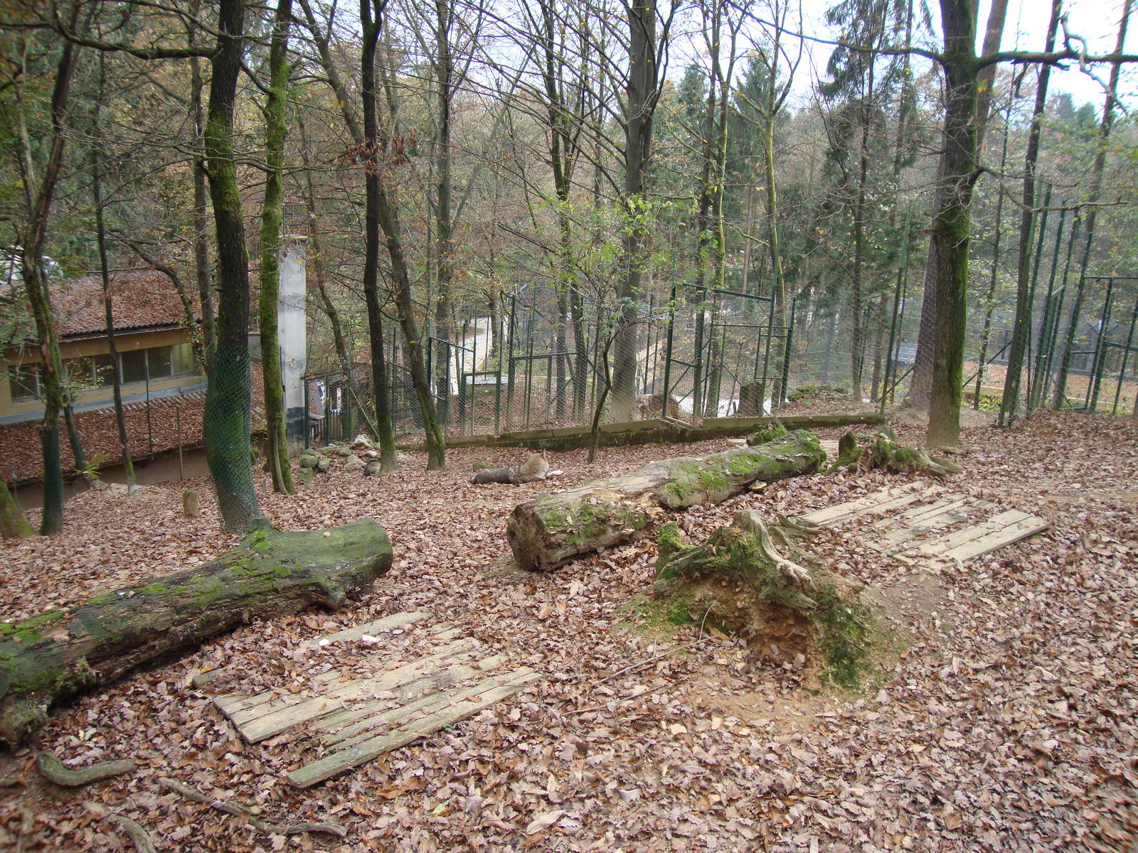 Ljubljana Zoo October 2013
