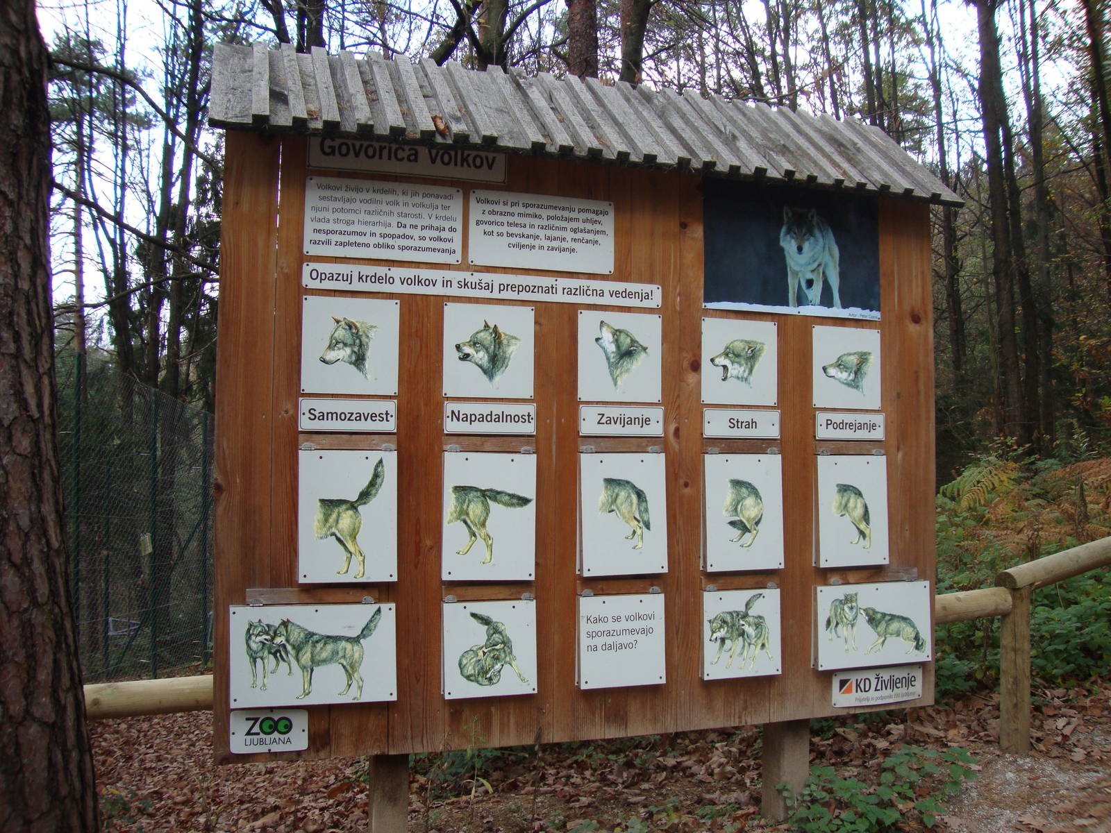 Ljubljana Zoo October 2013