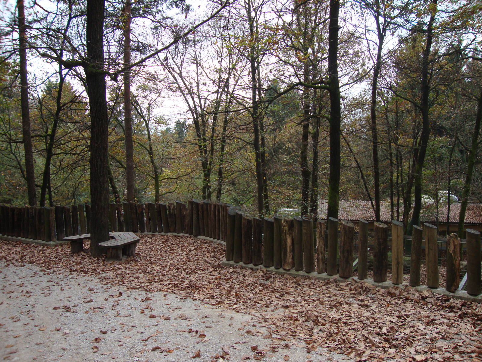 Ljubljana Zoo October 2013
