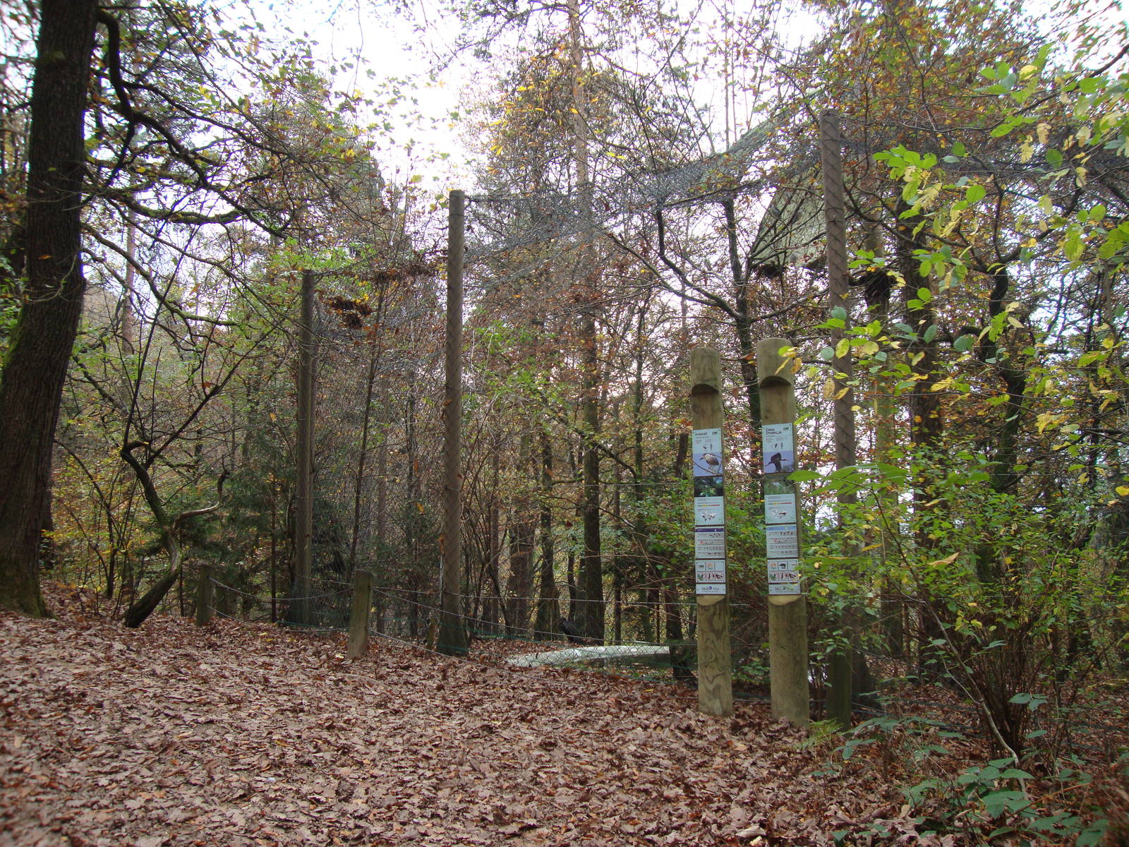 Ljubljana Zoo October 2013