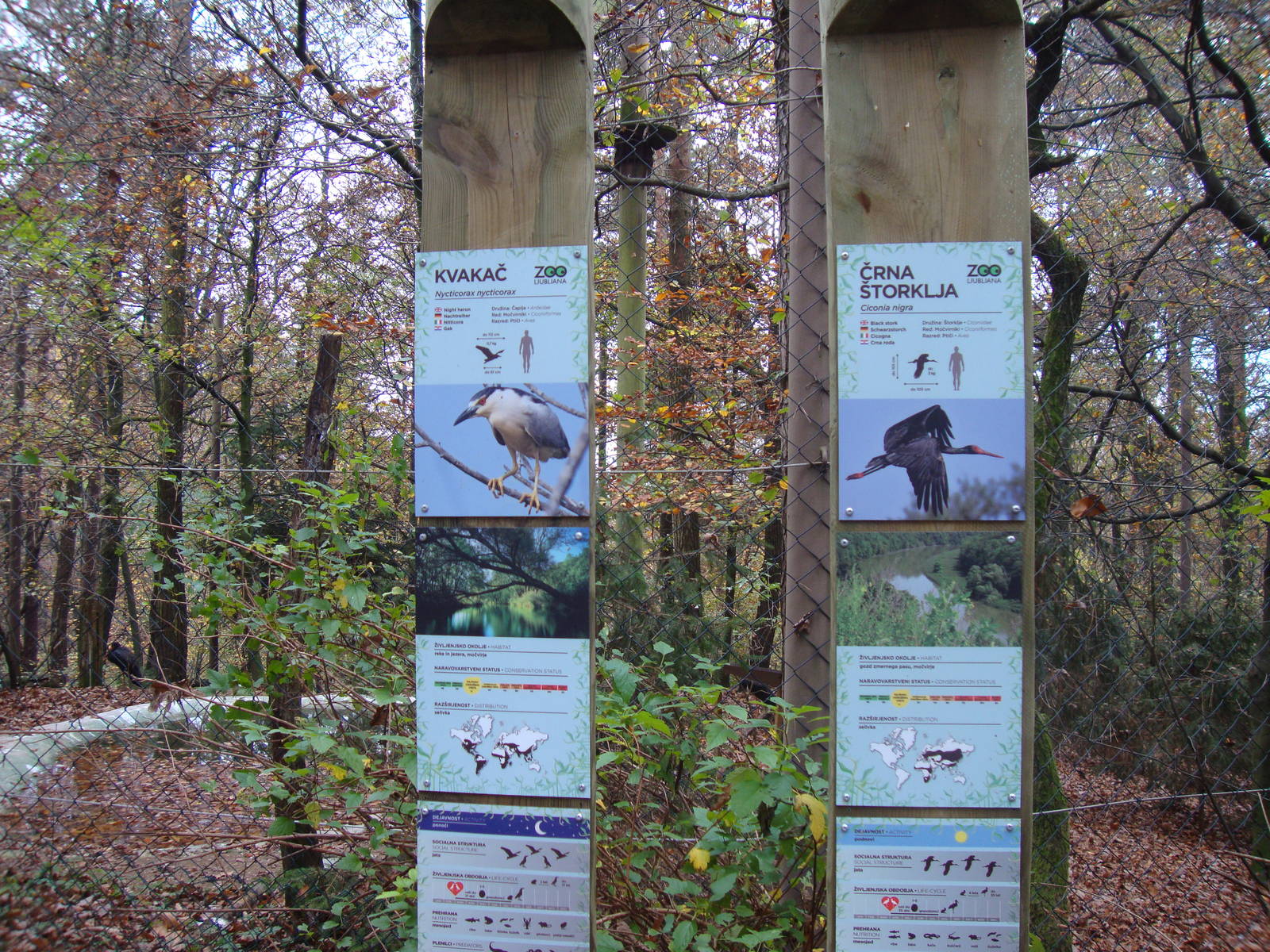 Ljubljana Zoo October 2013