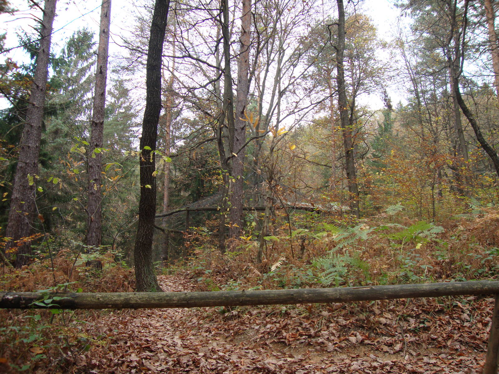 Ljubljana Zoo October 2013