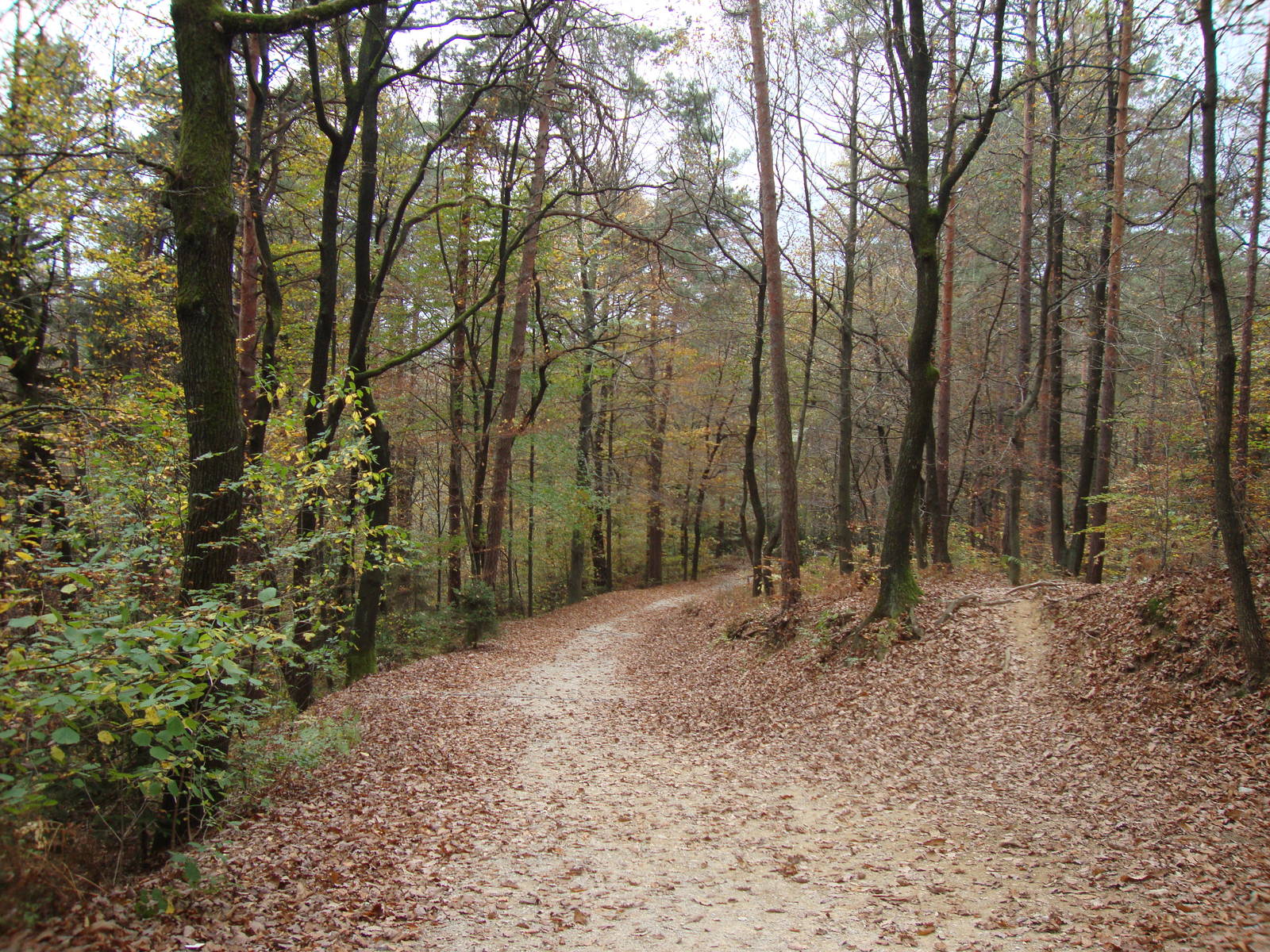 Ljubljana Zoo October 2013
