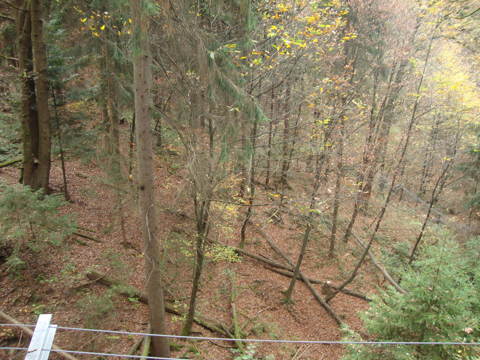 Ljubljana Zoo October 2013