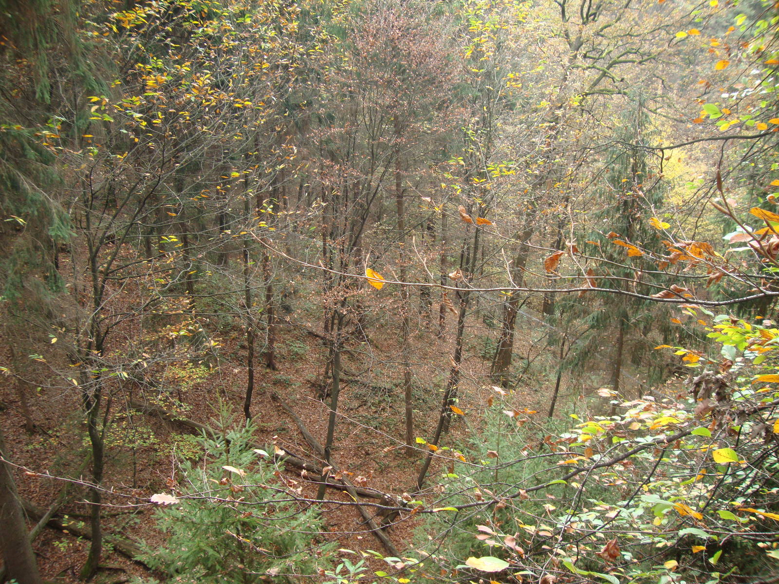 Ljubljana Zoo October 2013