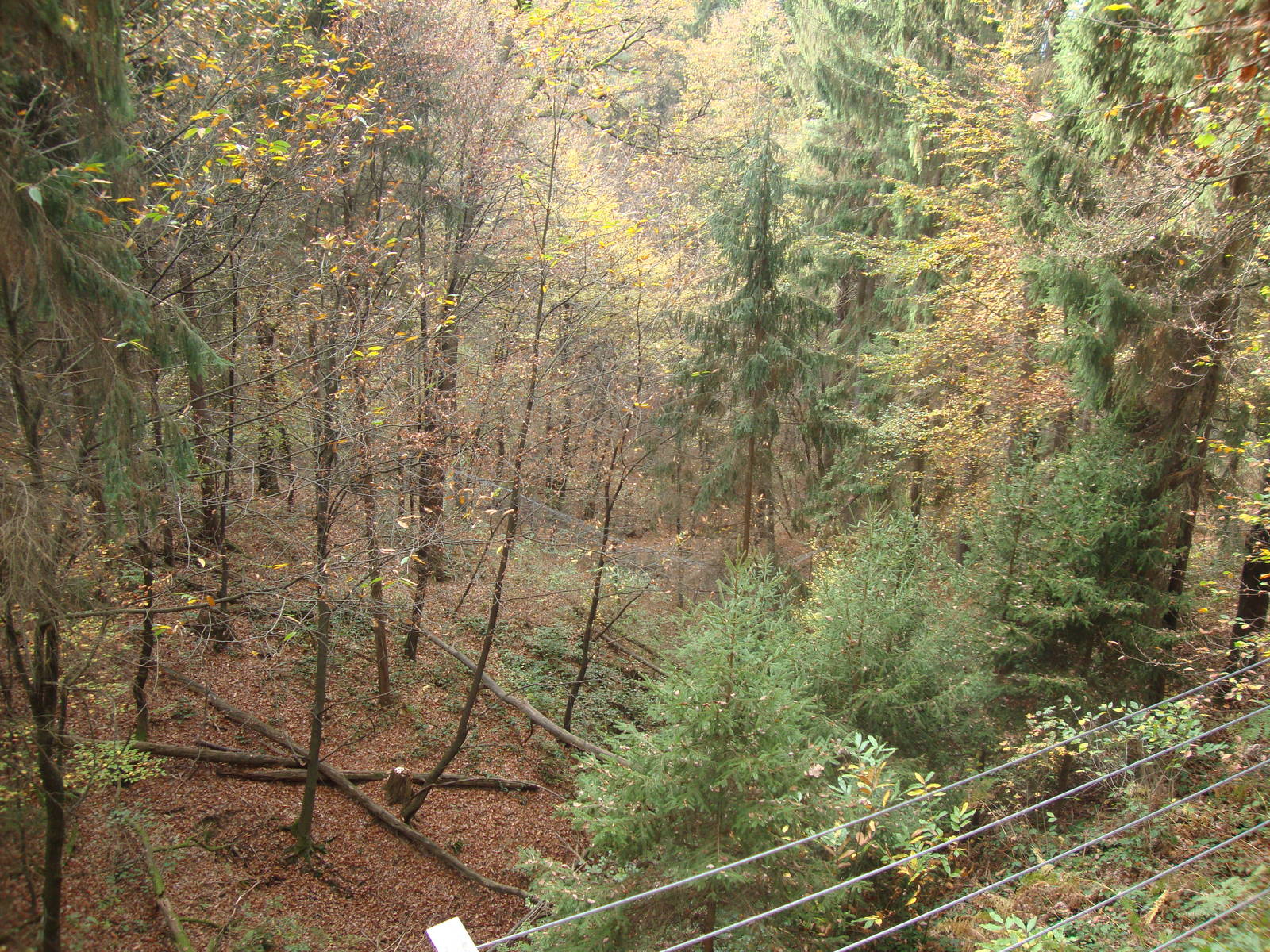 Ljubljana Zoo October 2013