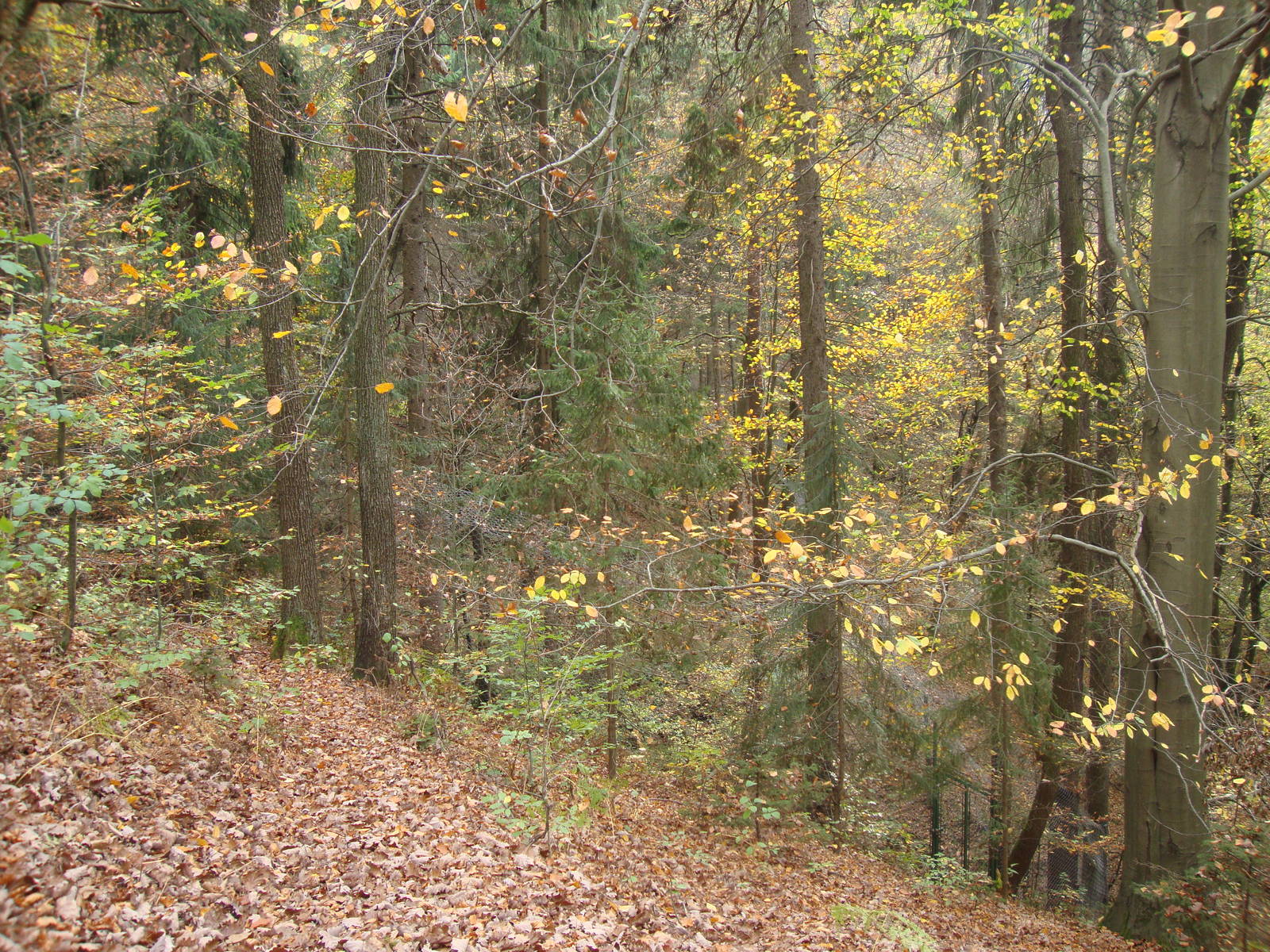 Ljubljana Zoo October 2013