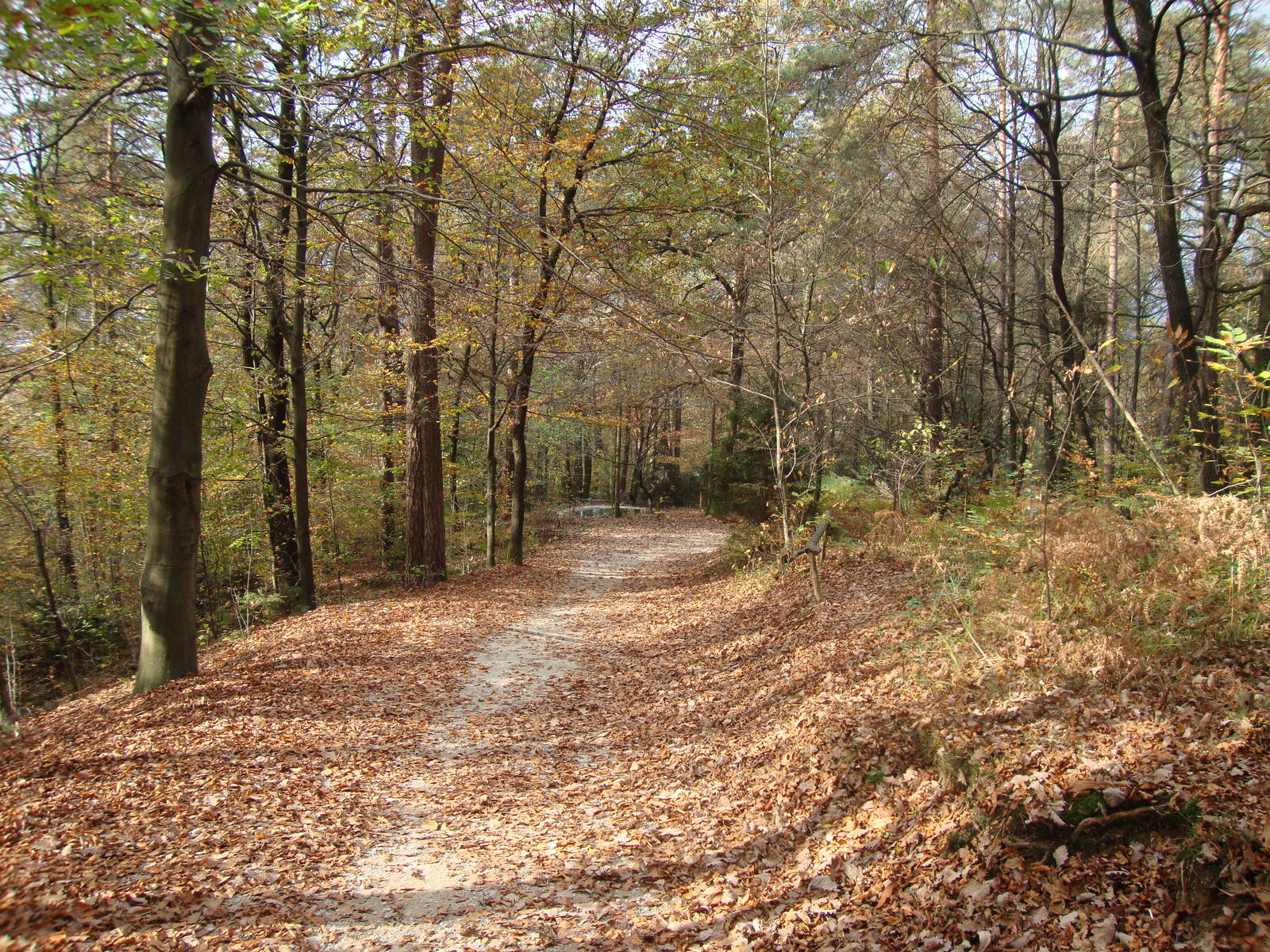 Ljubljana Zoo October 2013