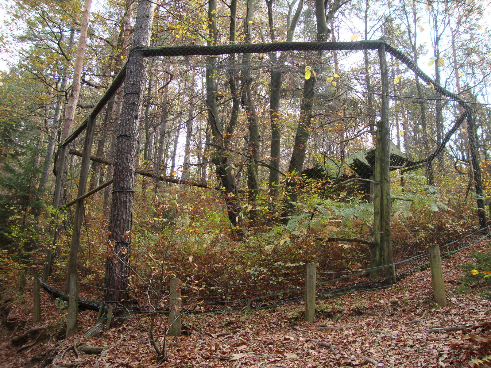 Ljubljana Zoo October 2013
