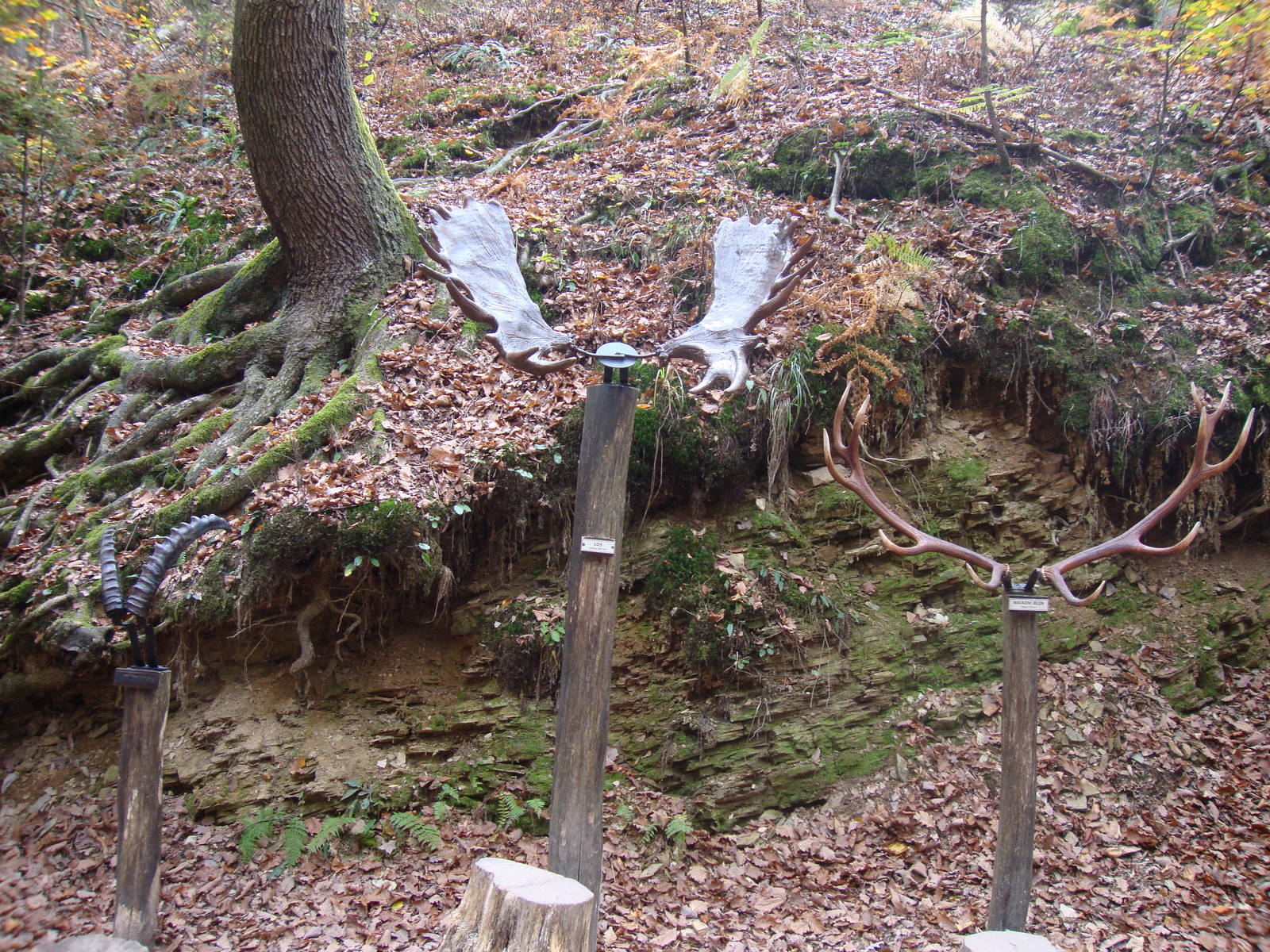 Ljubljana Zoo October 2013