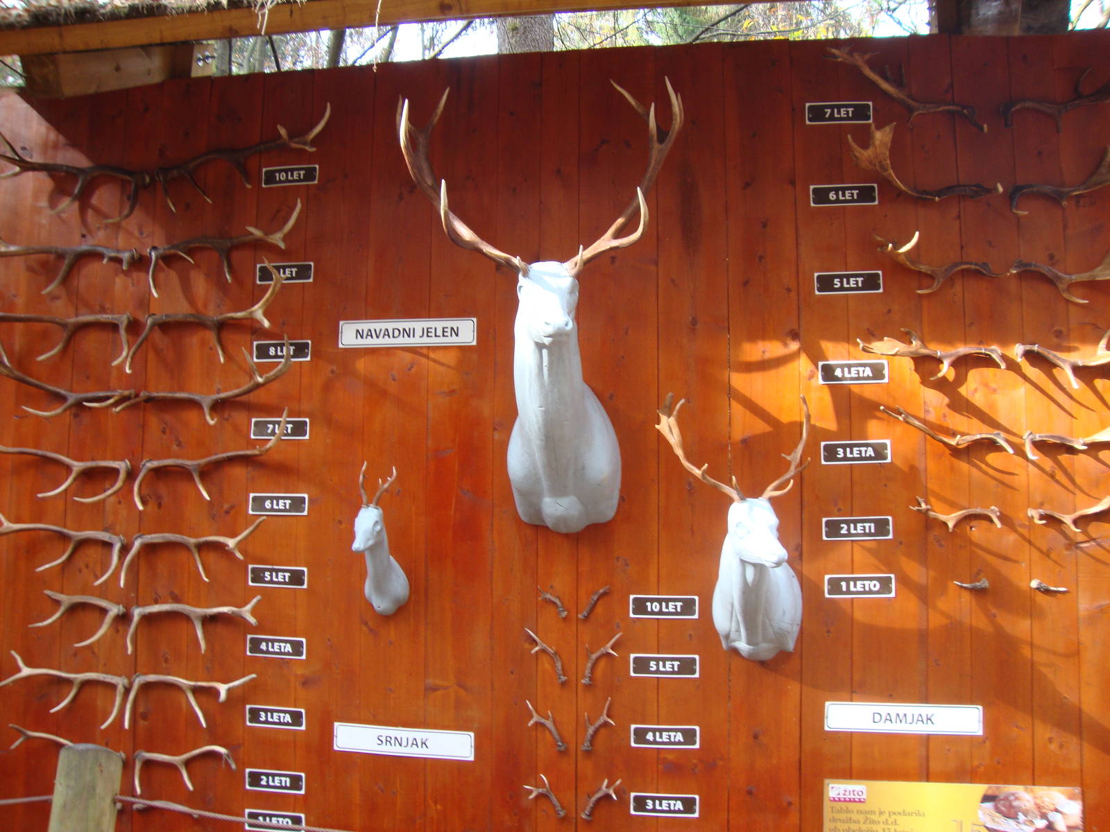 Ljubljana Zoo October 2013