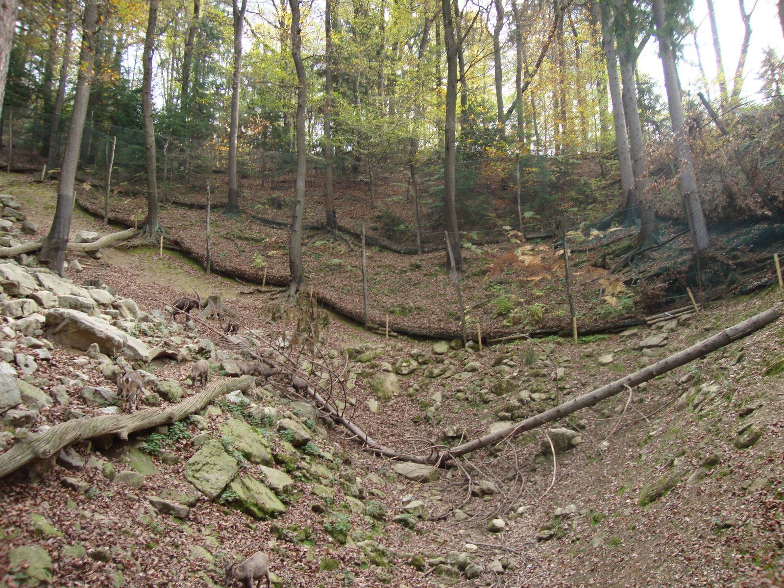 Ljubljana Zoo October 2013
