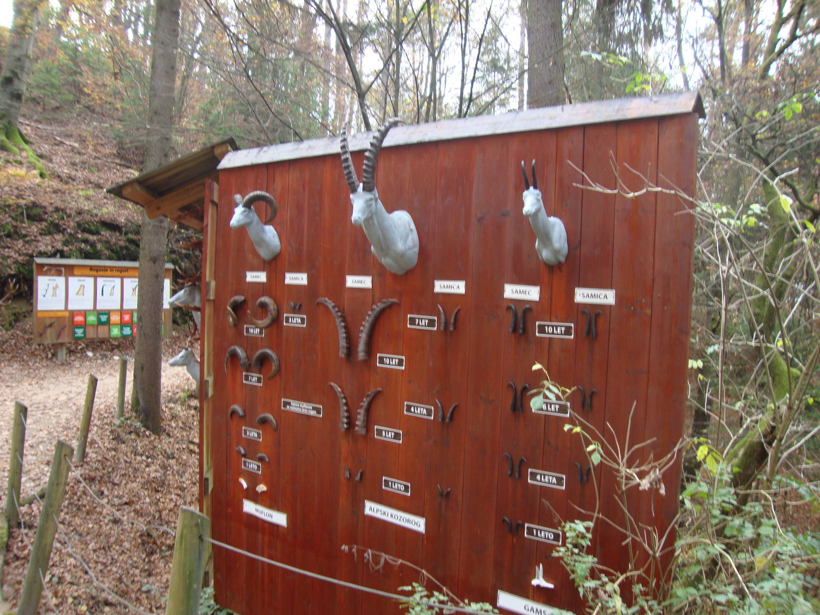 Ljubljana Zoo October 2013