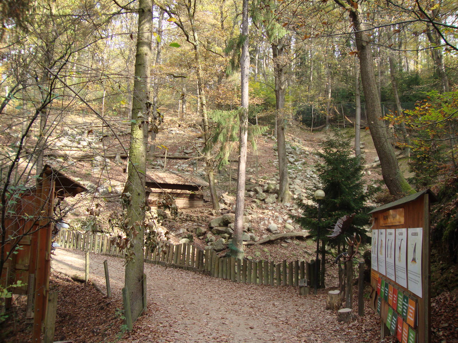 Ljubljana Zoo October 2013