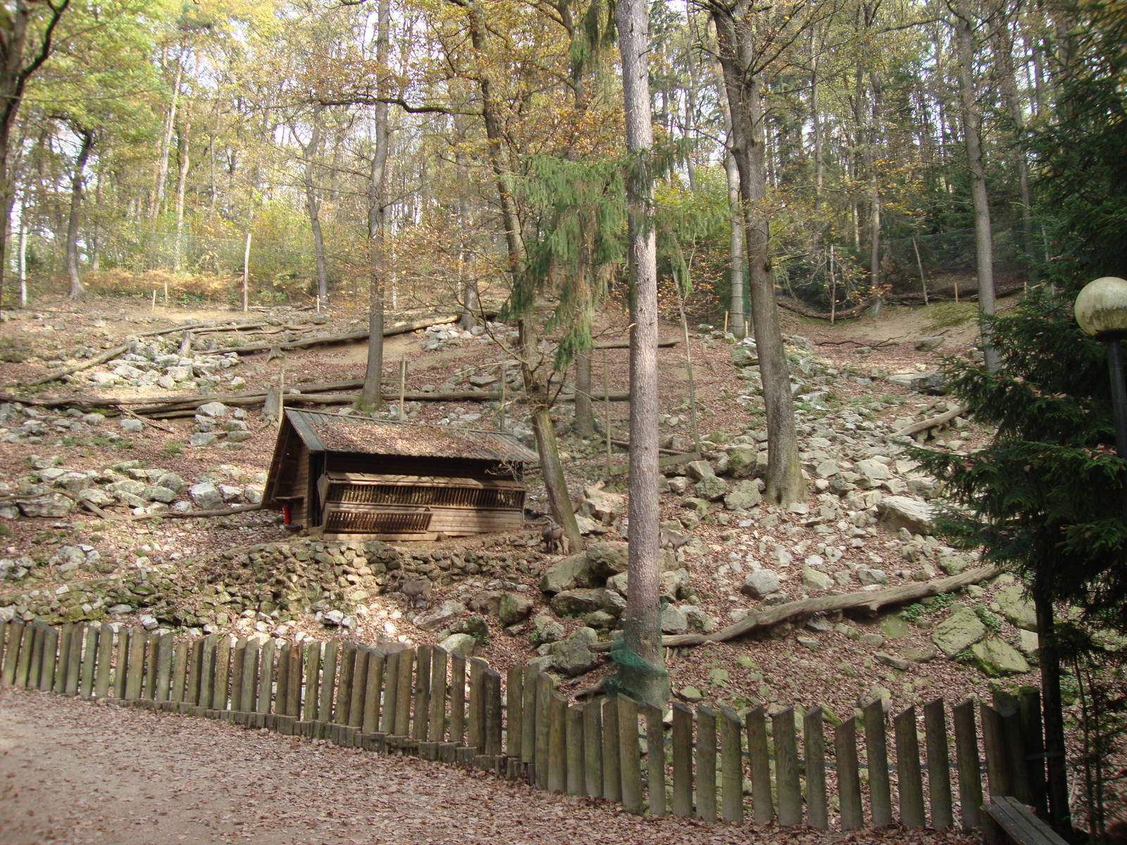 Ljubljana Zoo October 2013