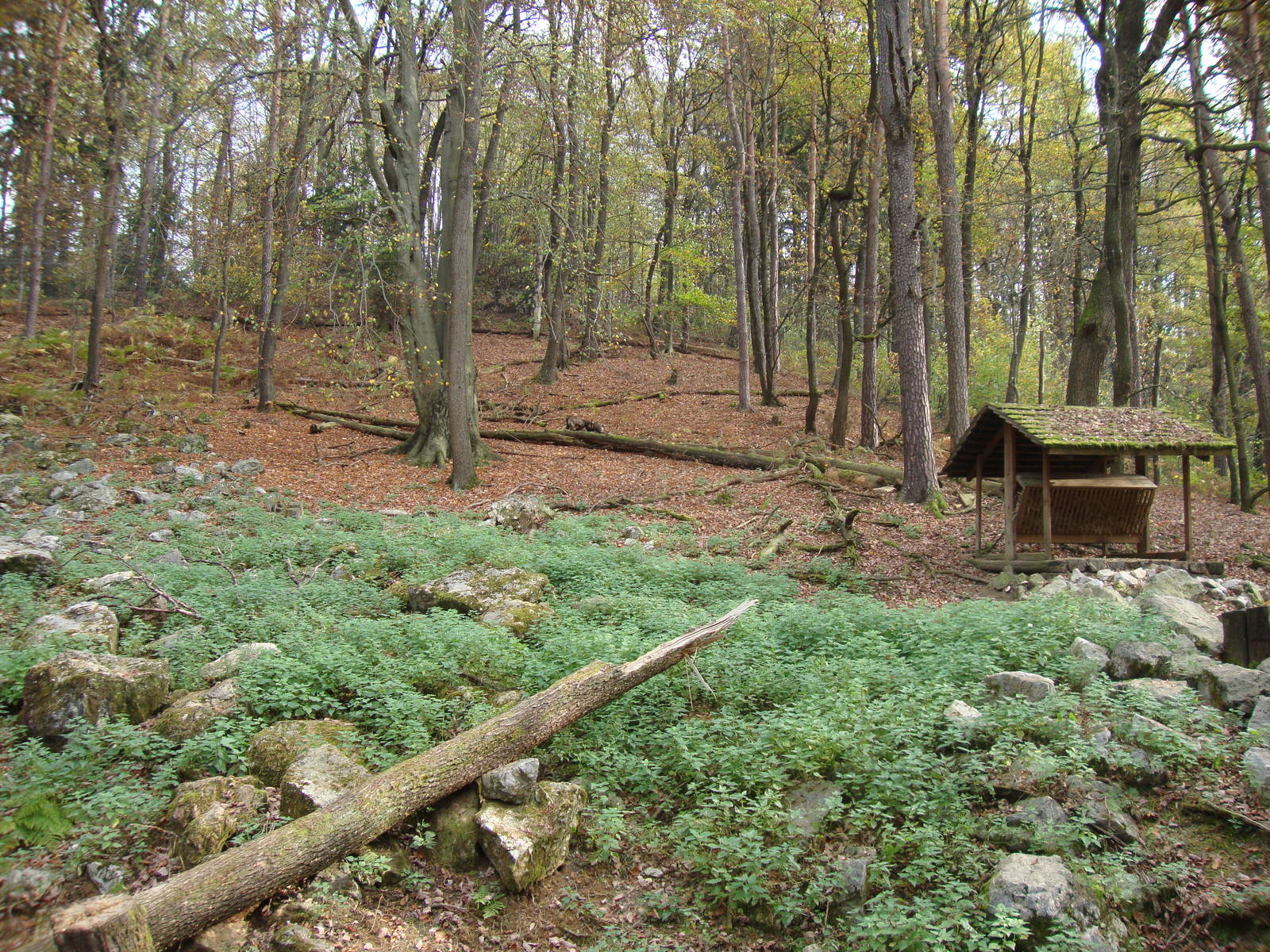 Ljubljana Zoo October 2013
