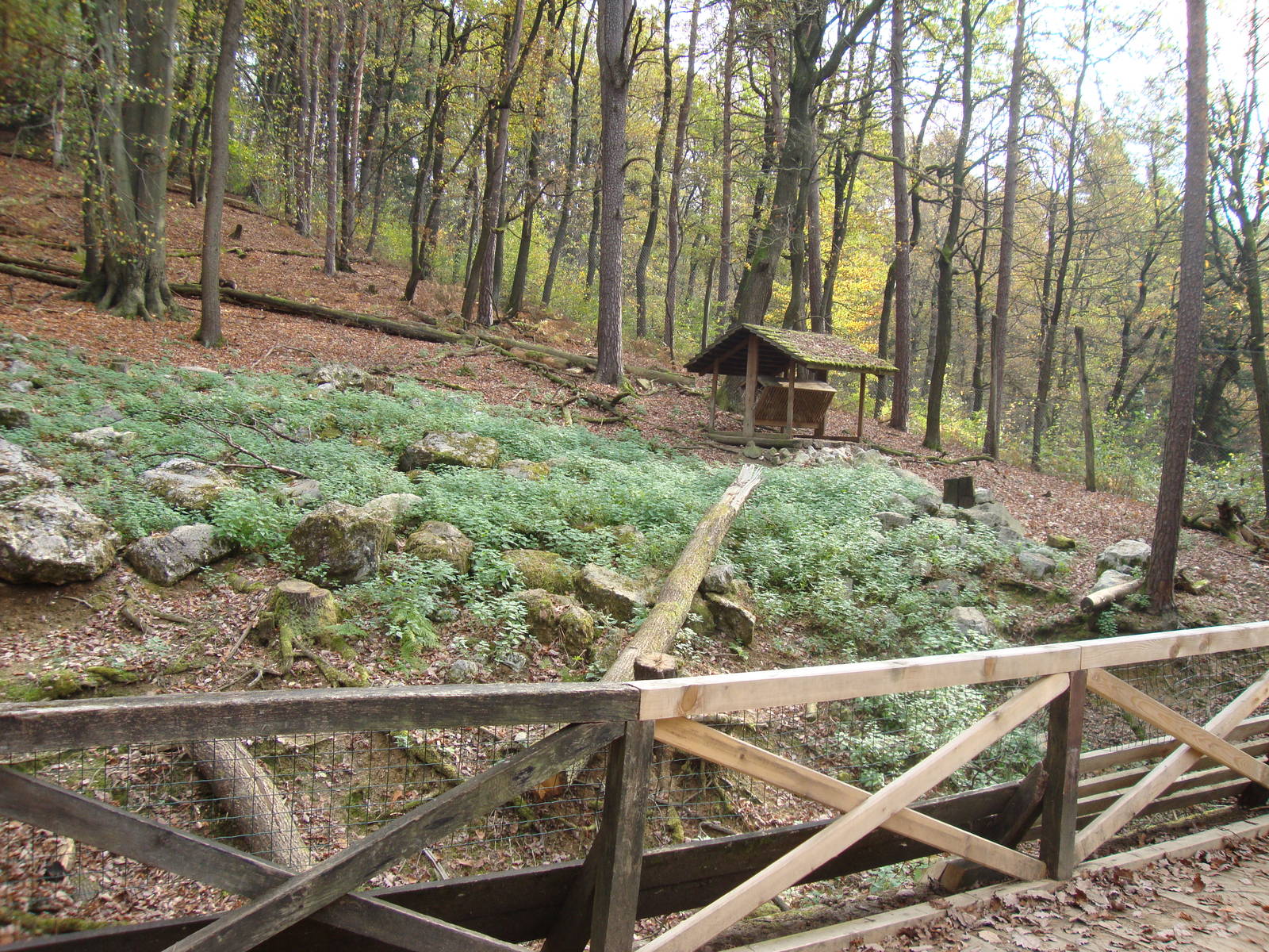 Ljubljana Zoo October 2013