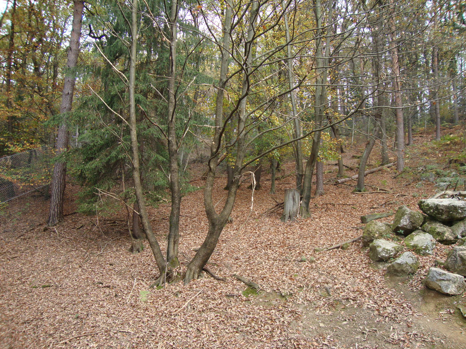 Ljubljana Zoo October 2013
