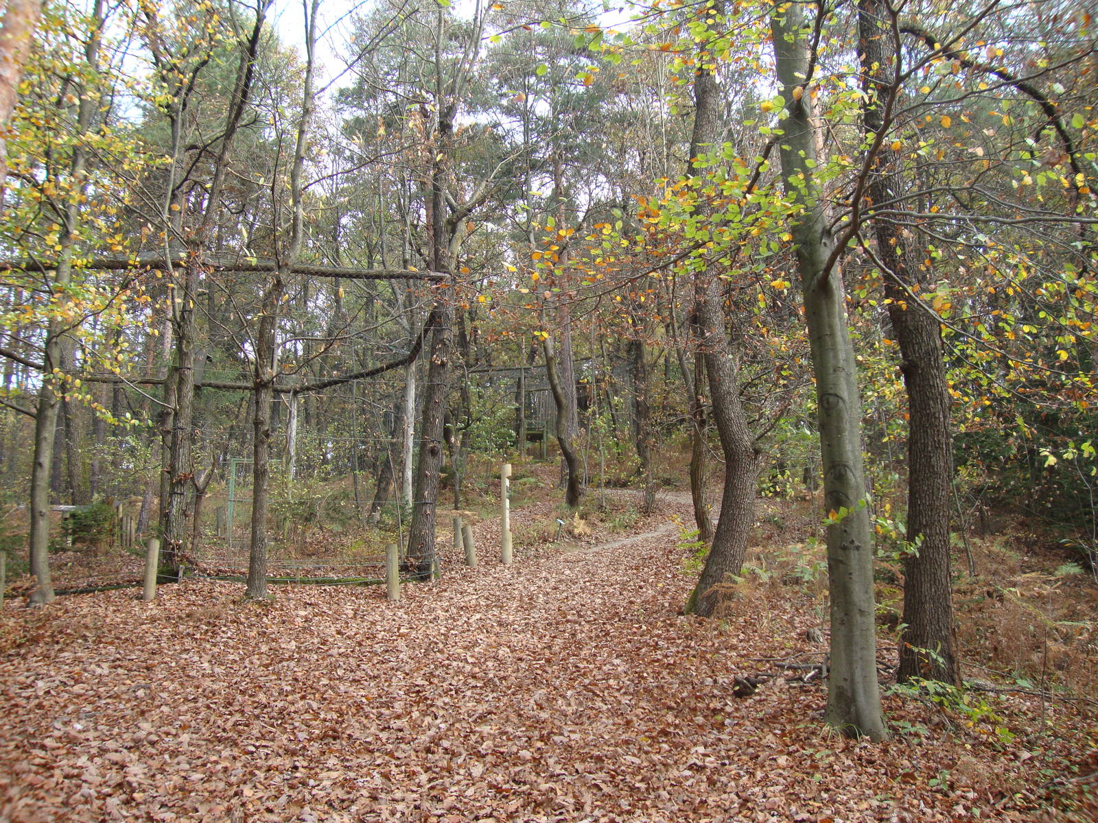 Ljubljana Zoo October 2013