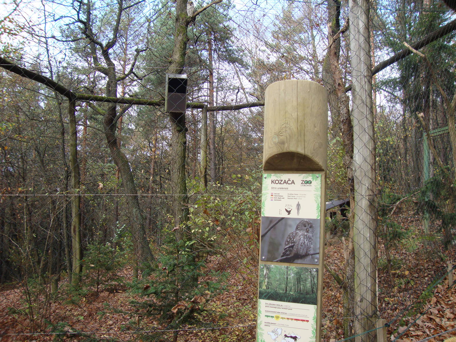 Ljubljana Zoo October 2013