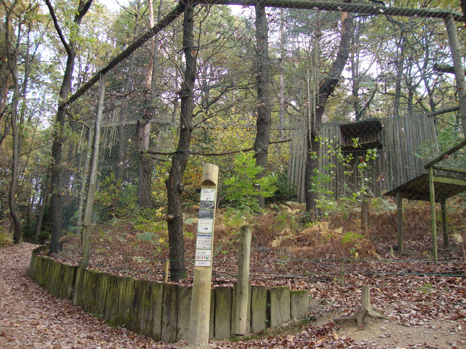 Ljubljana Zoo October 2013