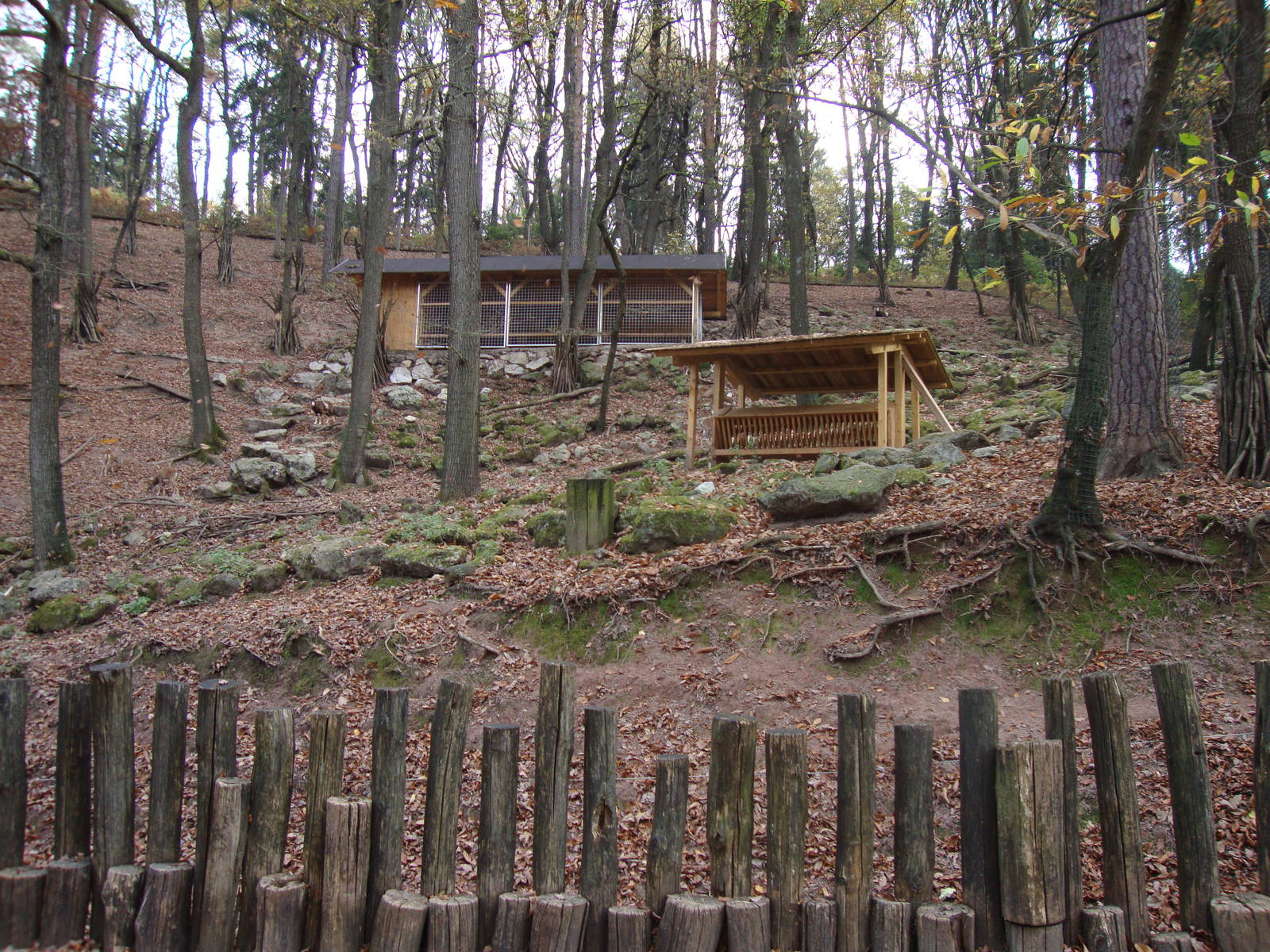 Ljubljana Zoo October 2013