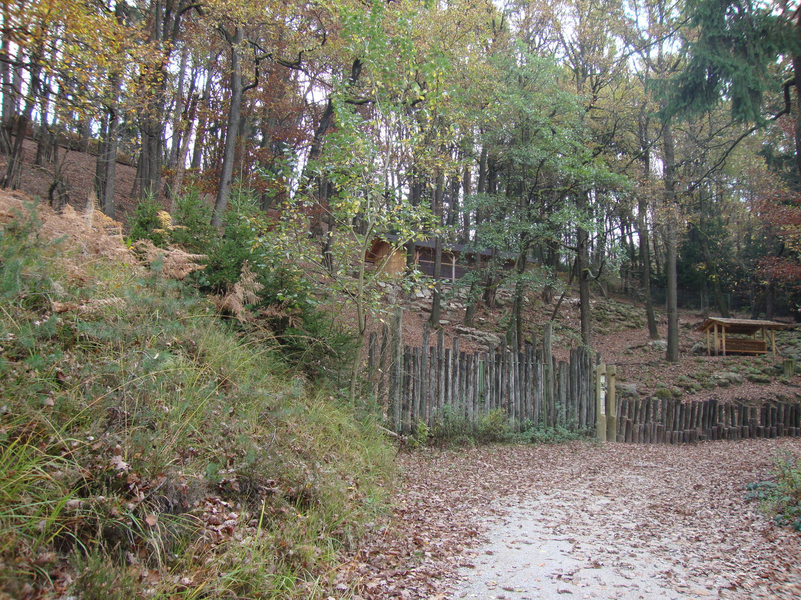 Ljubljana Zoo October 2013