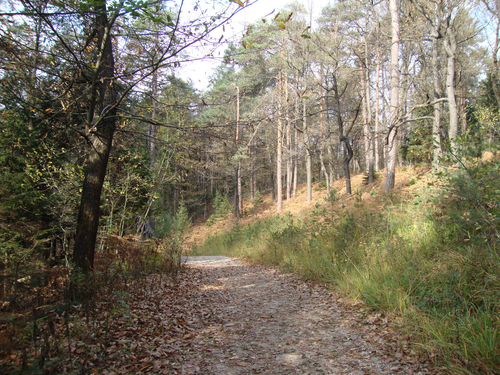 Ljubljana Zoo October 2013