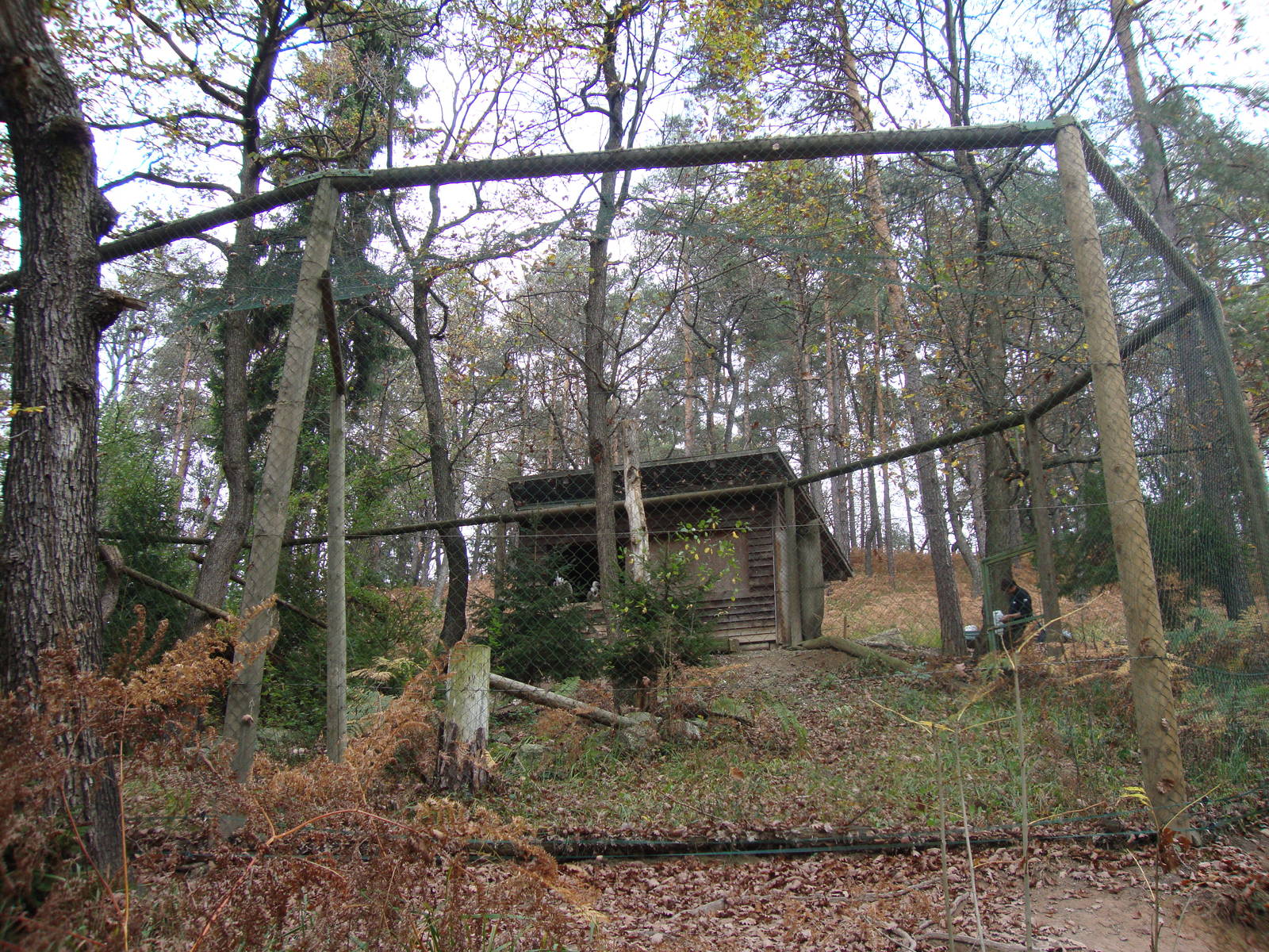 Ljubljana Zoo October 2013
