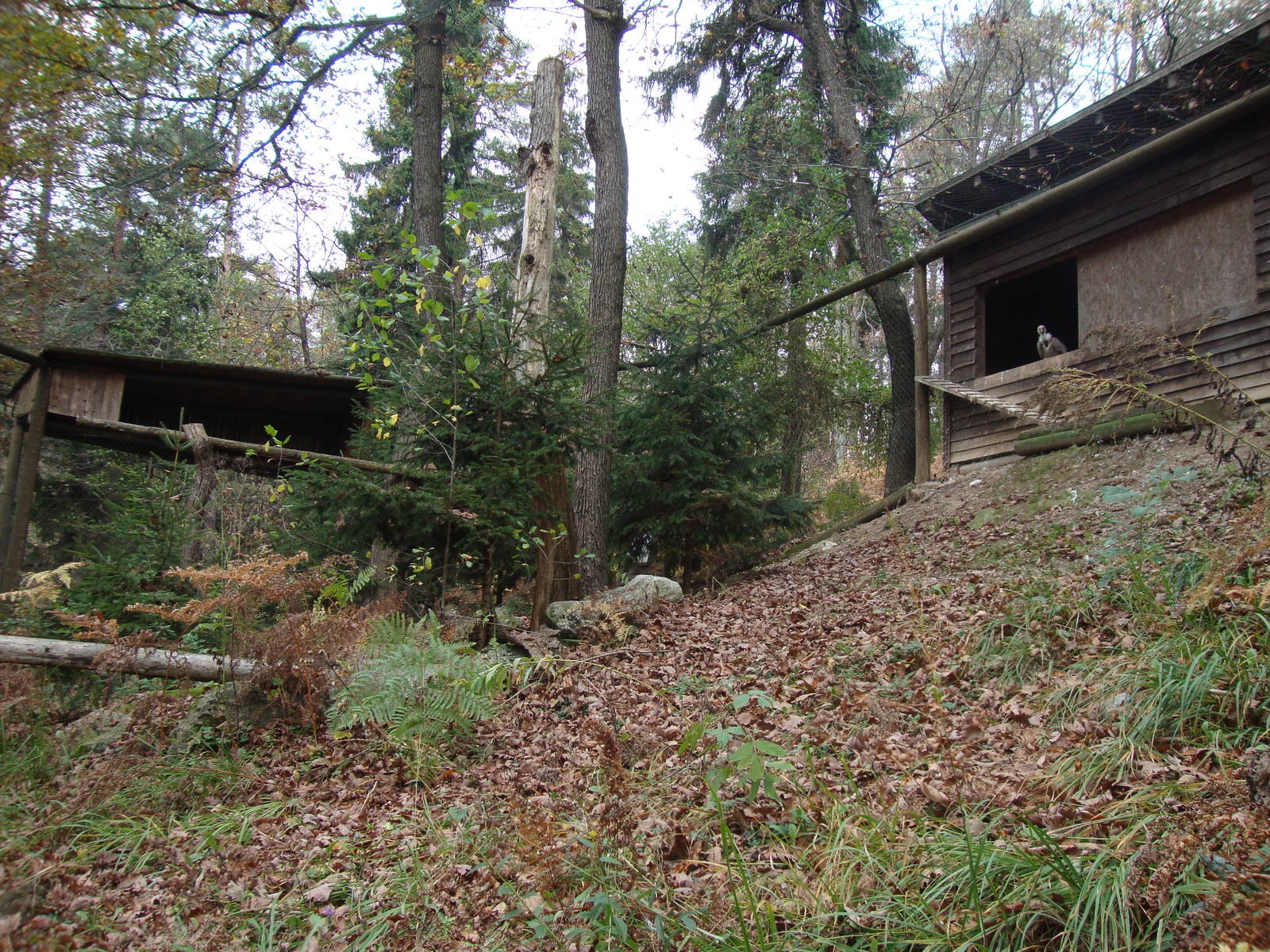 Ljubljana Zoo October 2013