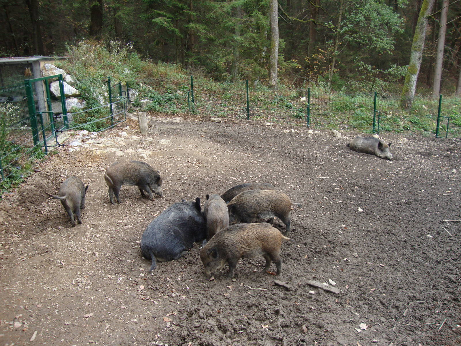 Ljubljana Zoo October 2013