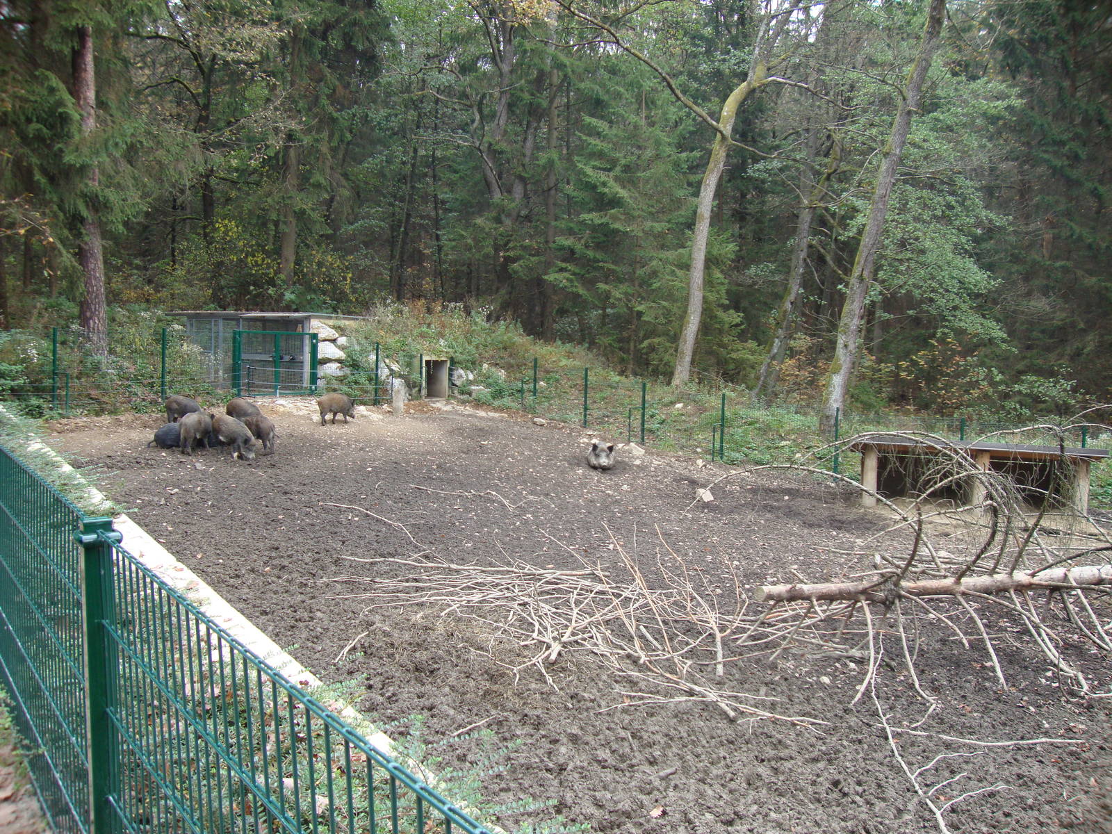 Ljubljana Zoo October 2013